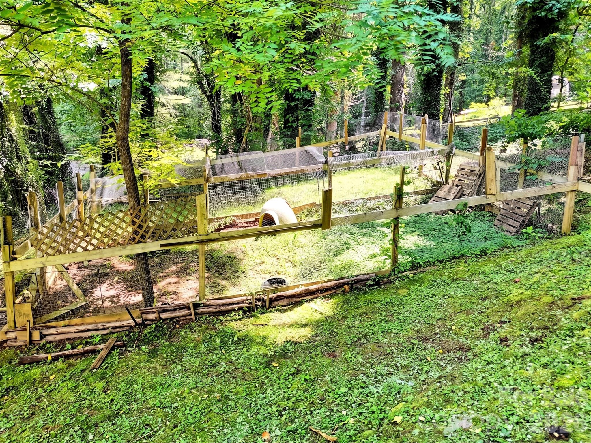 169 Roadrunner Drive — Balsam