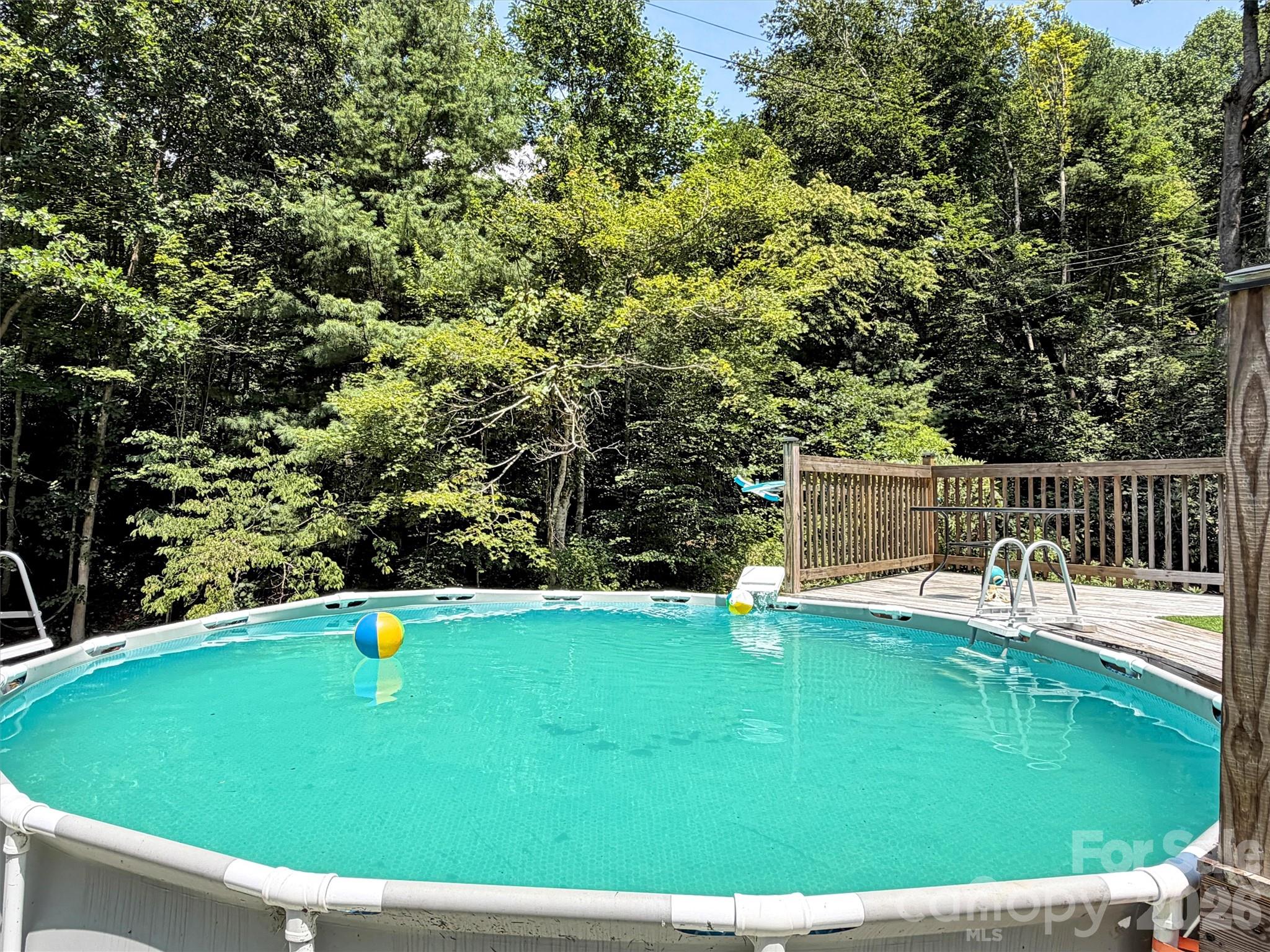 169 Roadrunner Drive — Balsam