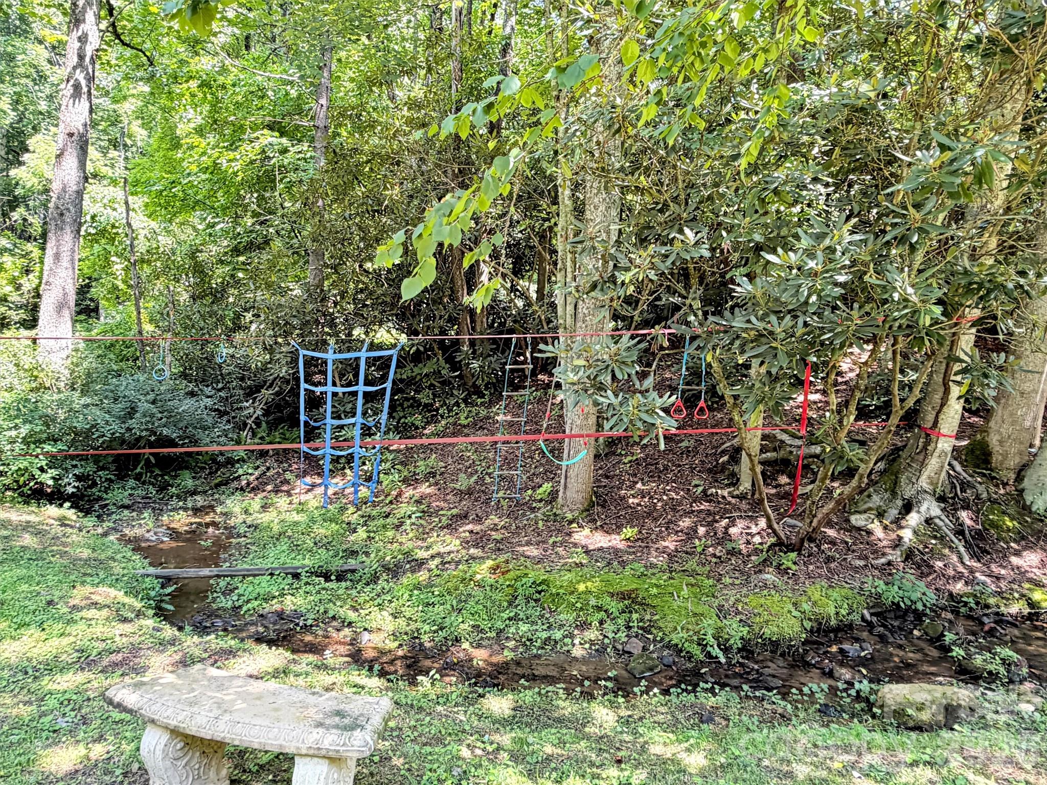 169 Roadrunner Drive — Balsam