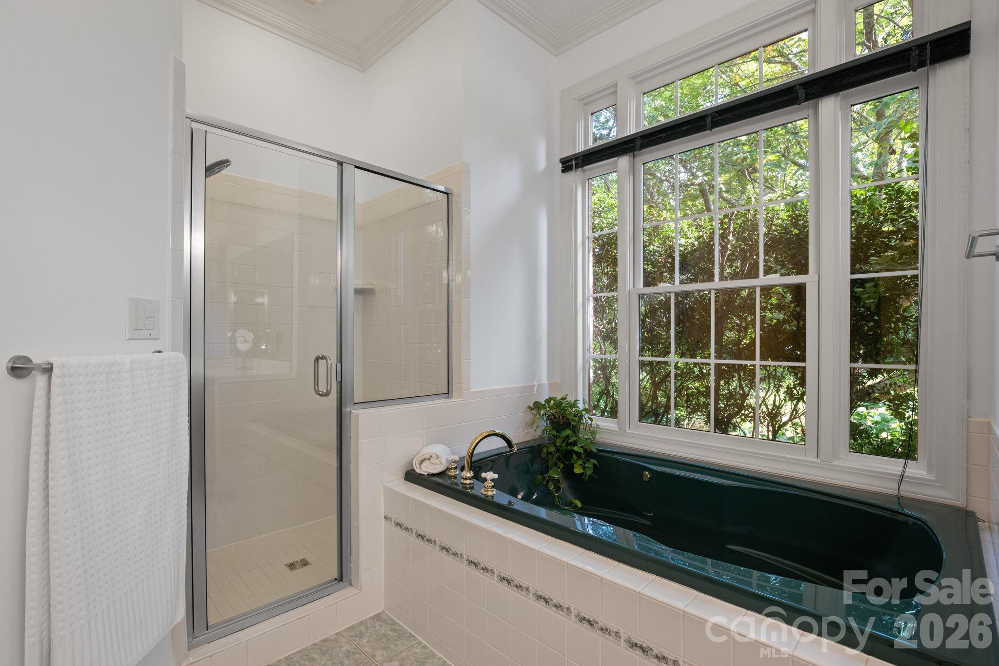 210 Clear Vista Circle — Asheville
