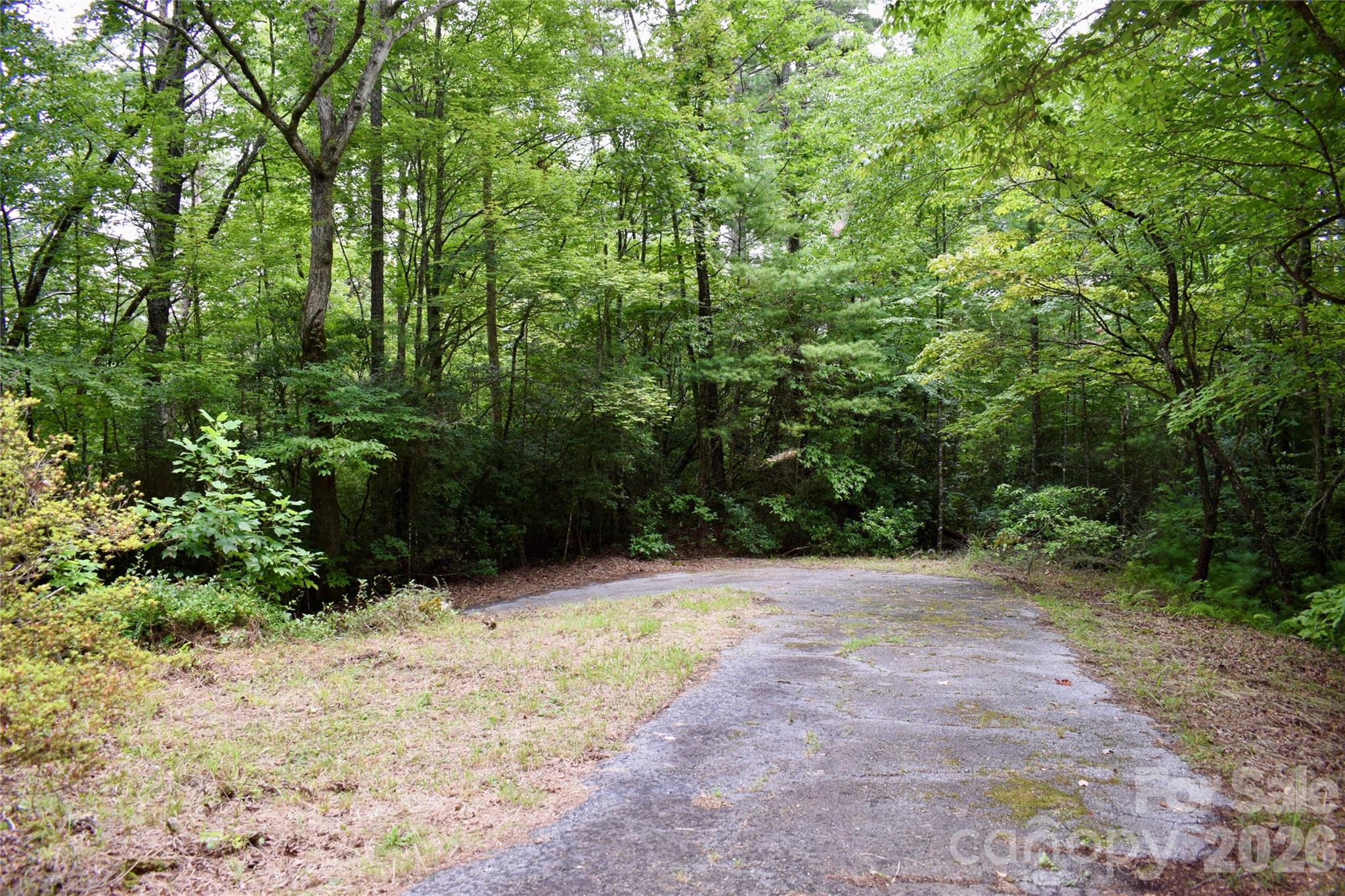 173 Mountain Haven Lane — Zirconia