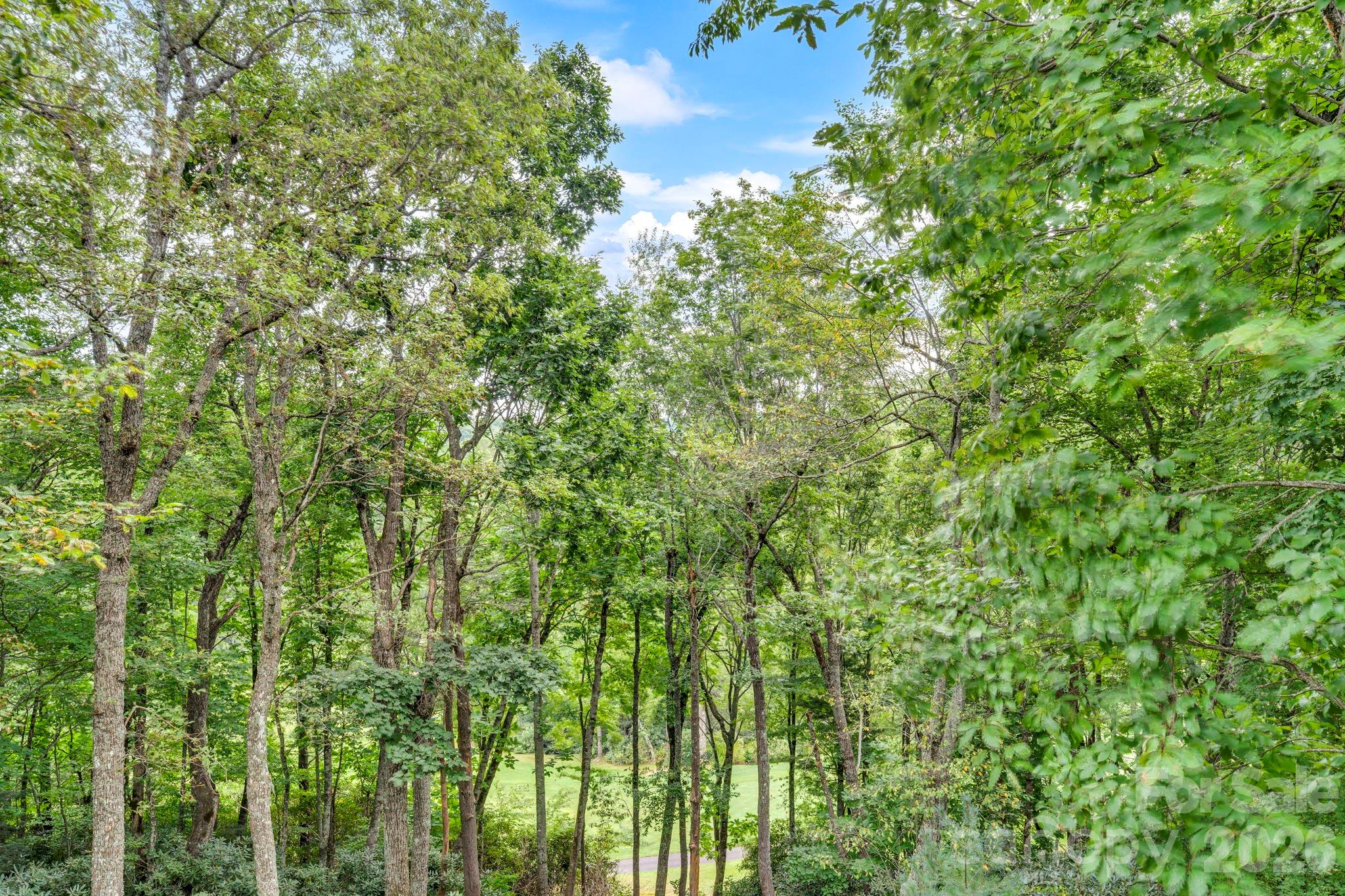 368 Green Hill Woods — Blowing Rock