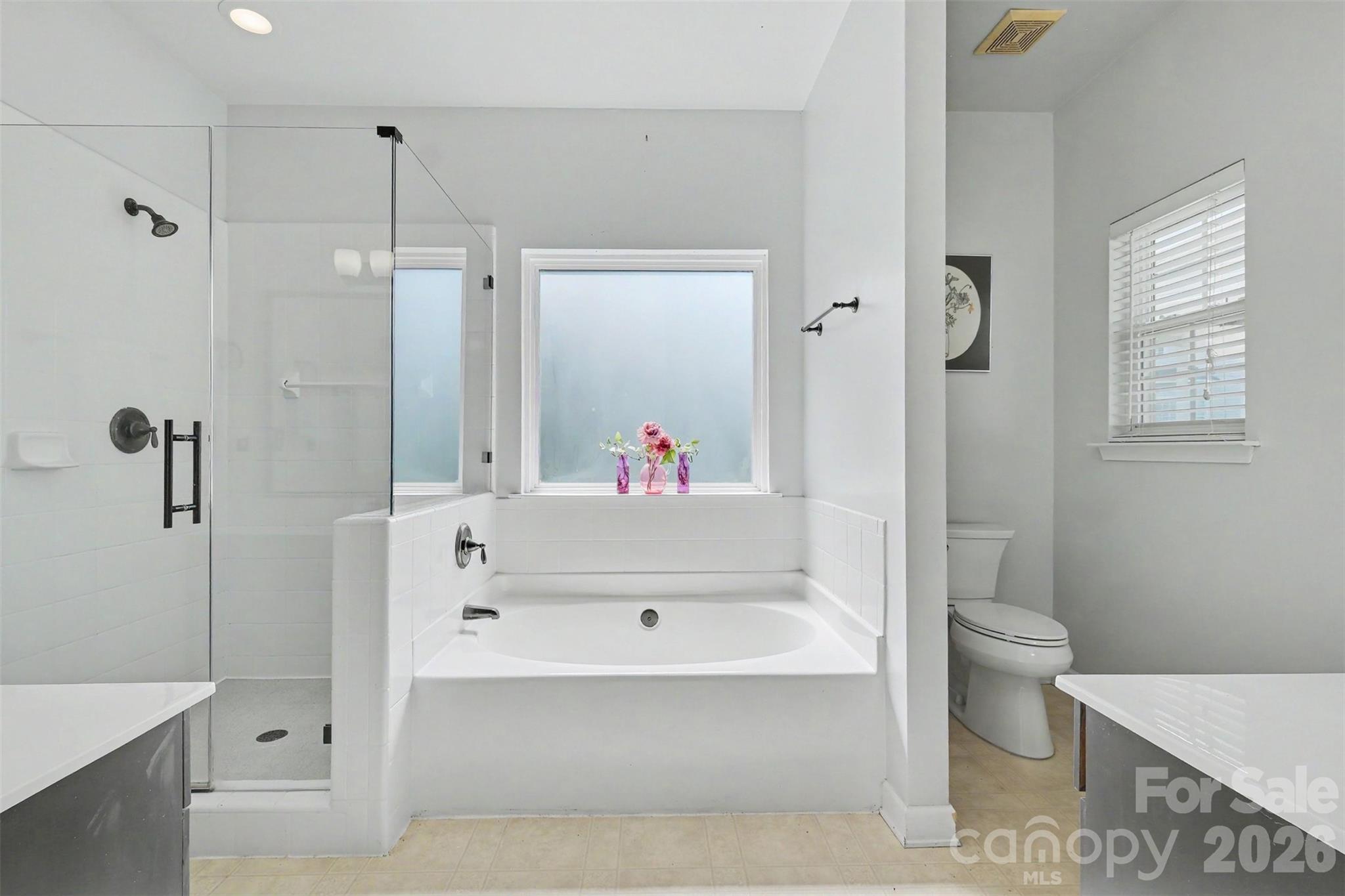 12034 Hampton Place Drive — Charlotte