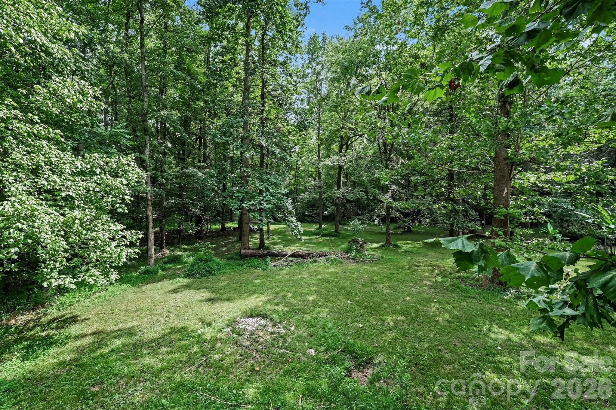 13631 William Stowe Drive — Charlotte