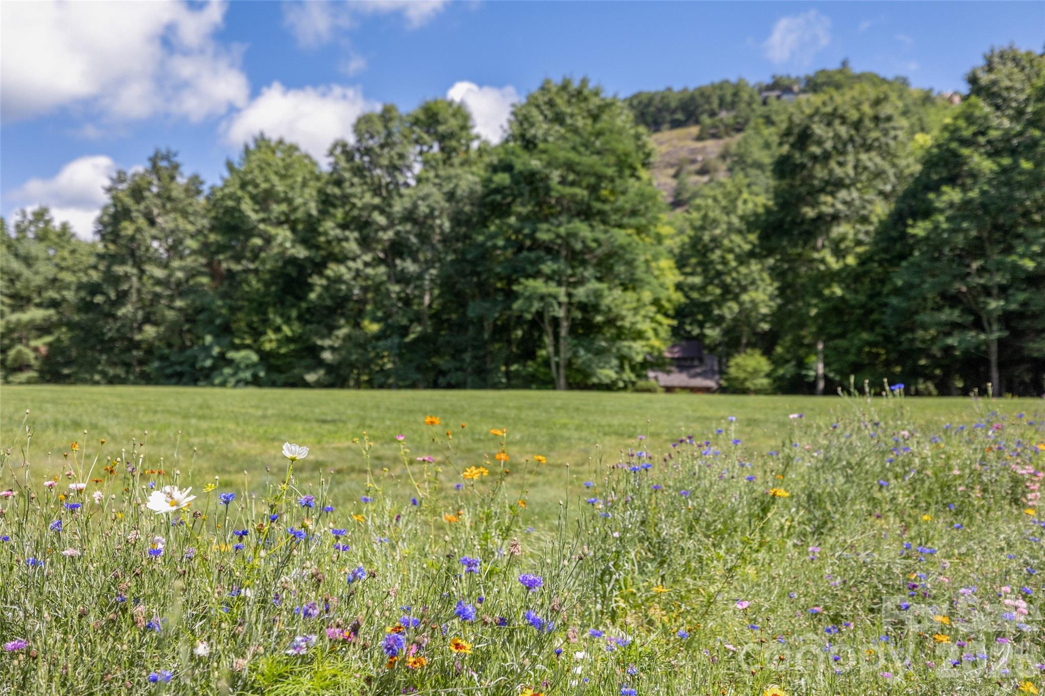 11 E Fish Camp Trail #W19 — Glenville