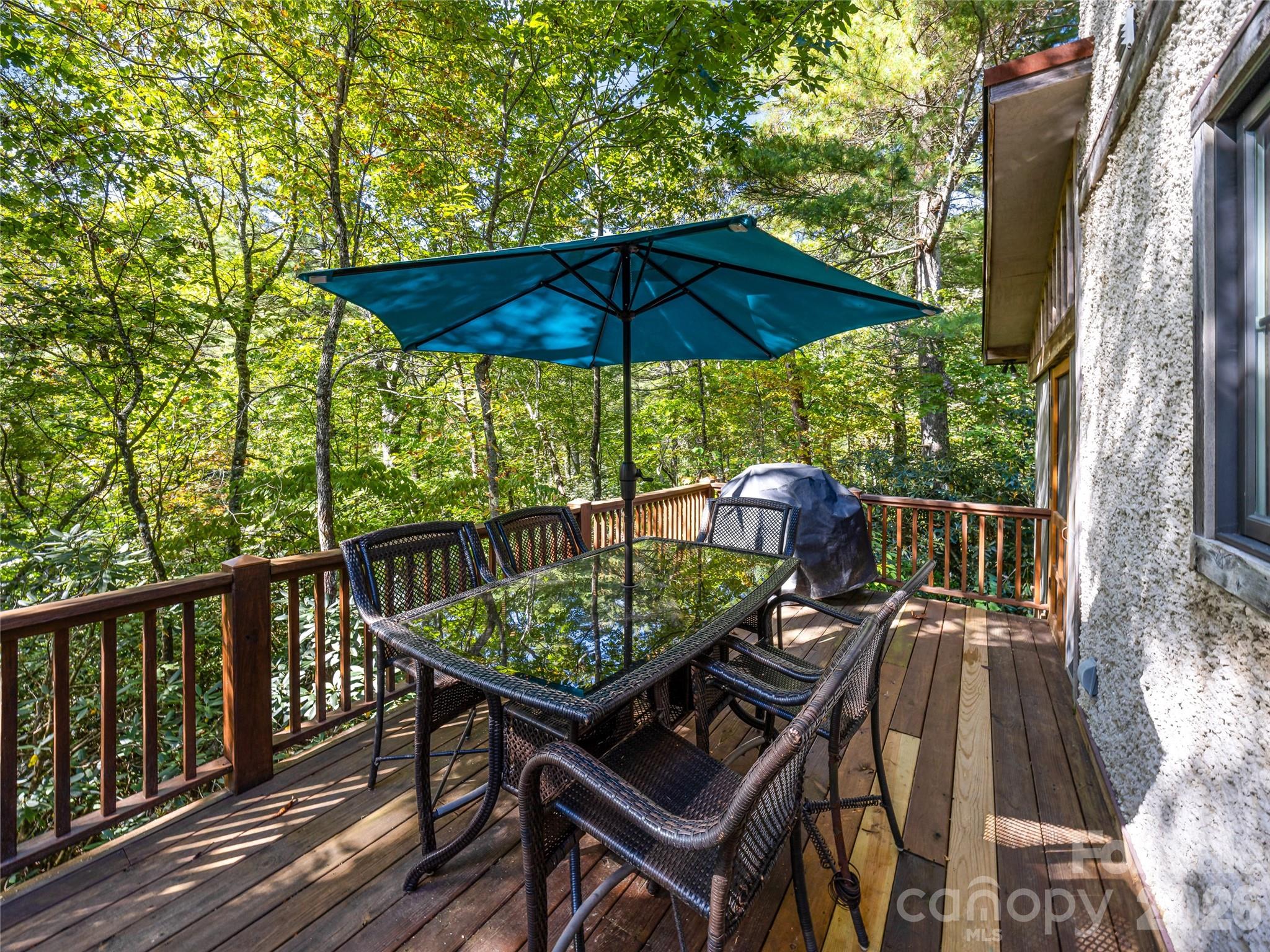 69 Dogwood Branch Road — Zirconia