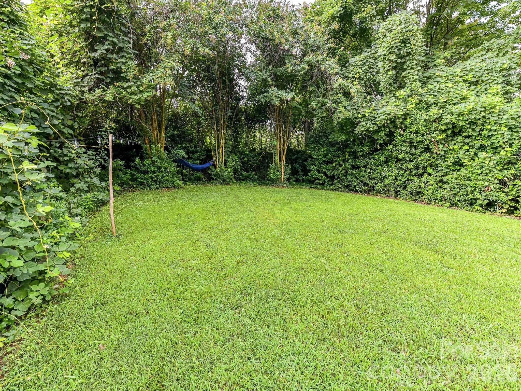 2028 Hamorton Place — Charlotte