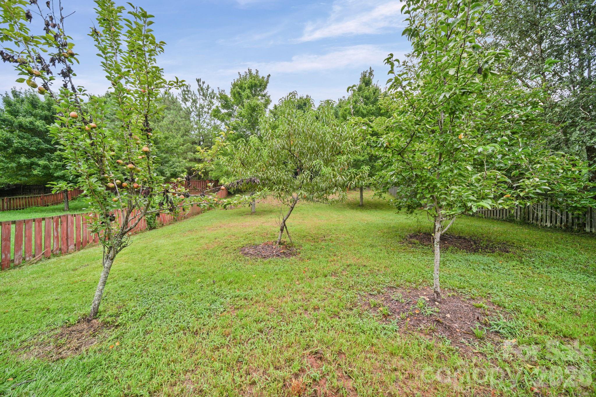 9220 Seamill Road — Charlotte