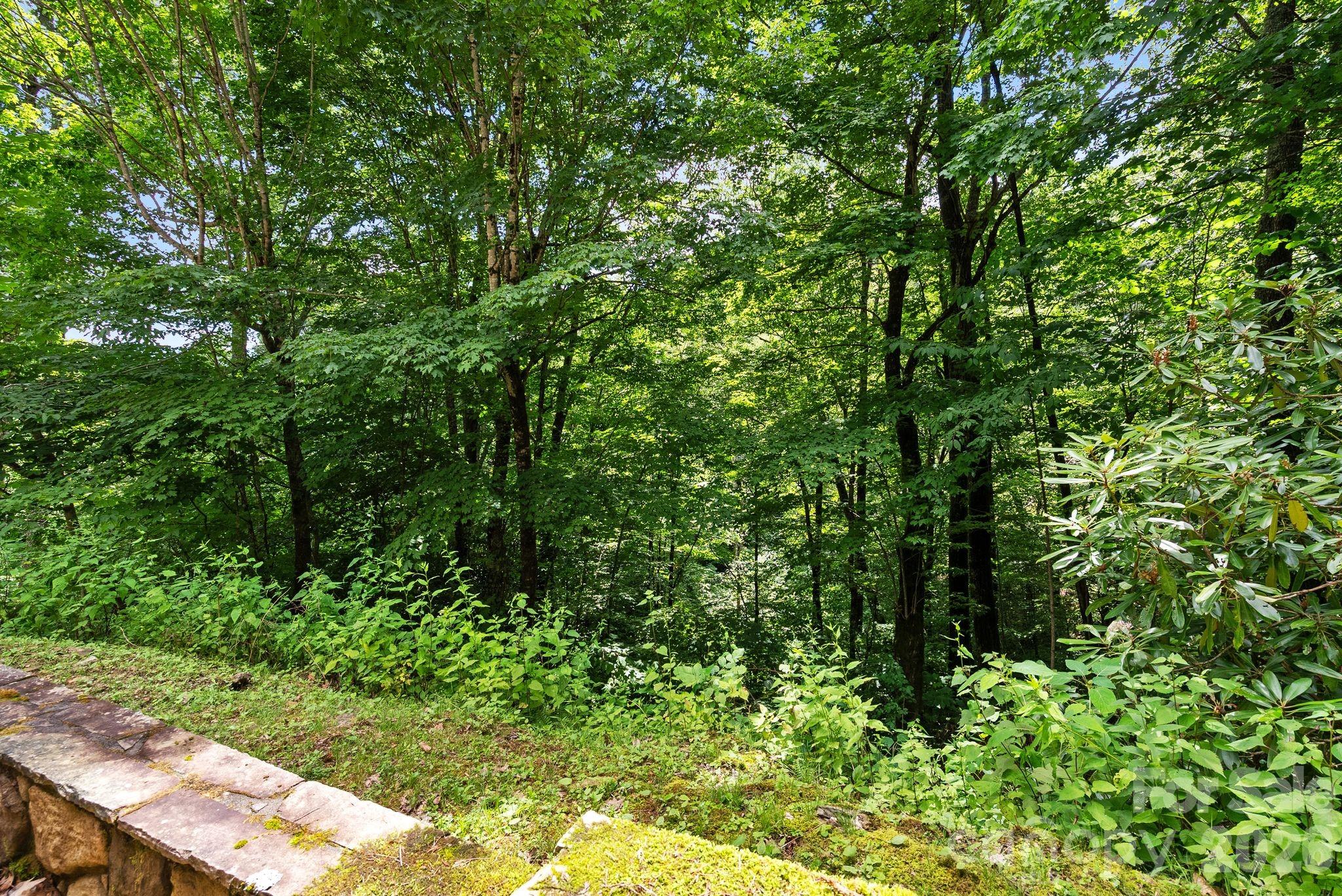 100 Moonshineholler Drive — Maggie Valley