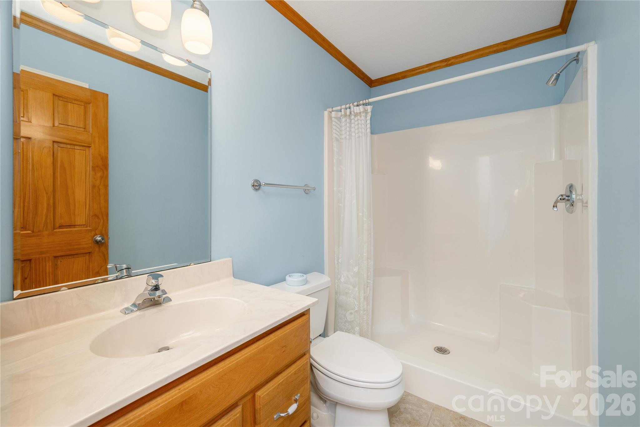 131 N Forge Crest Drive — Mills River