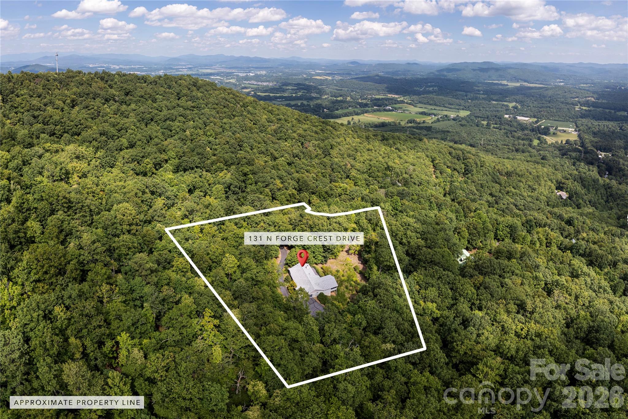 131 N Forge Crest Drive — Mills River