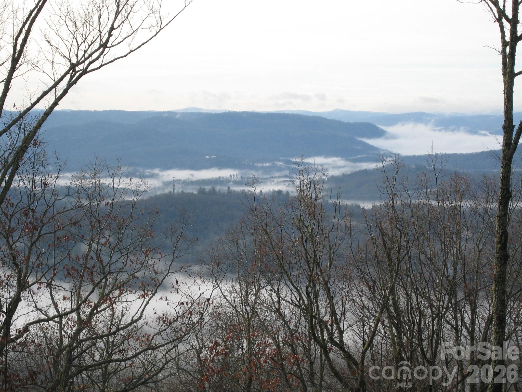131 N Forge Crest Drive — Mills River