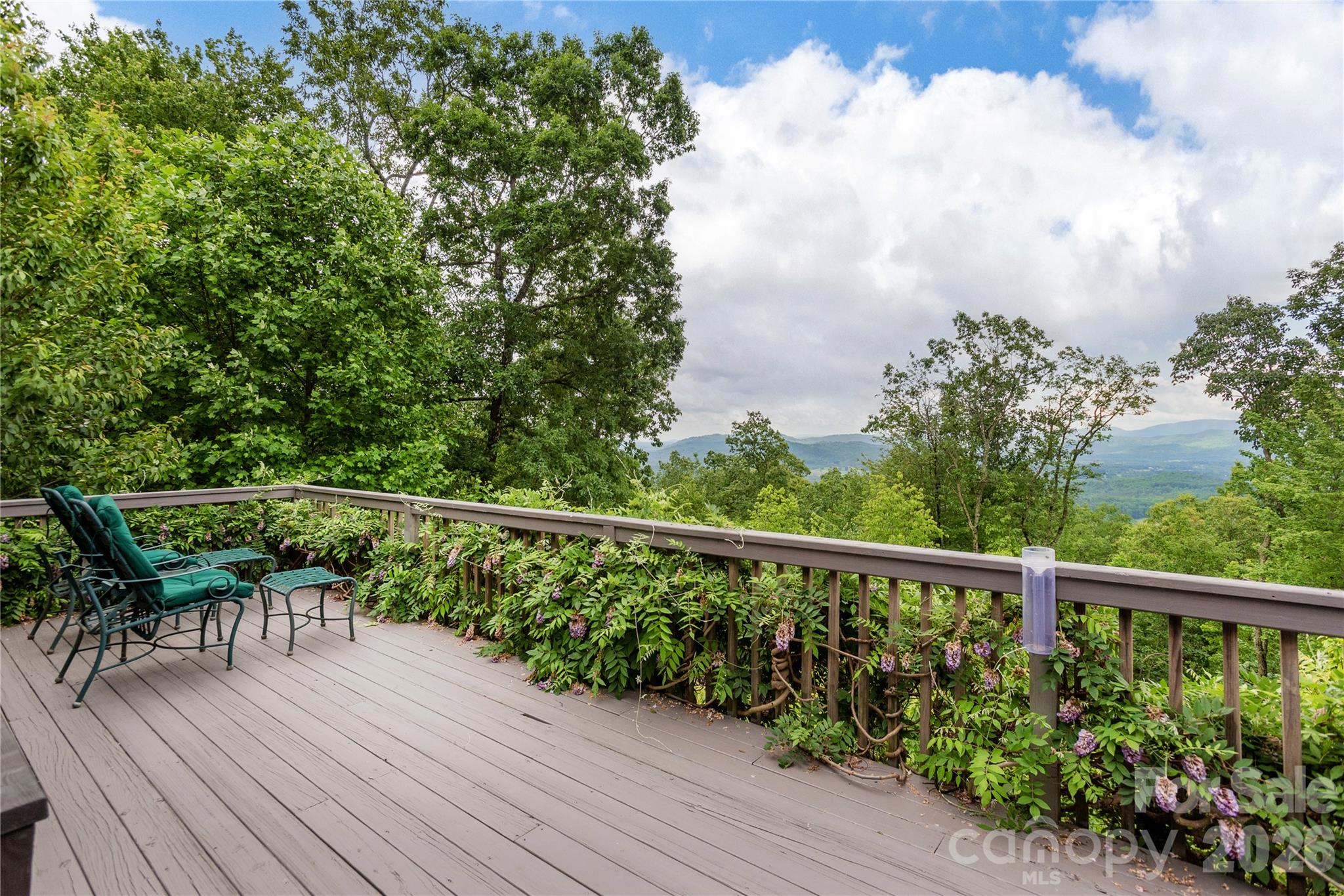 131 N Forge Crest Drive — Mills River