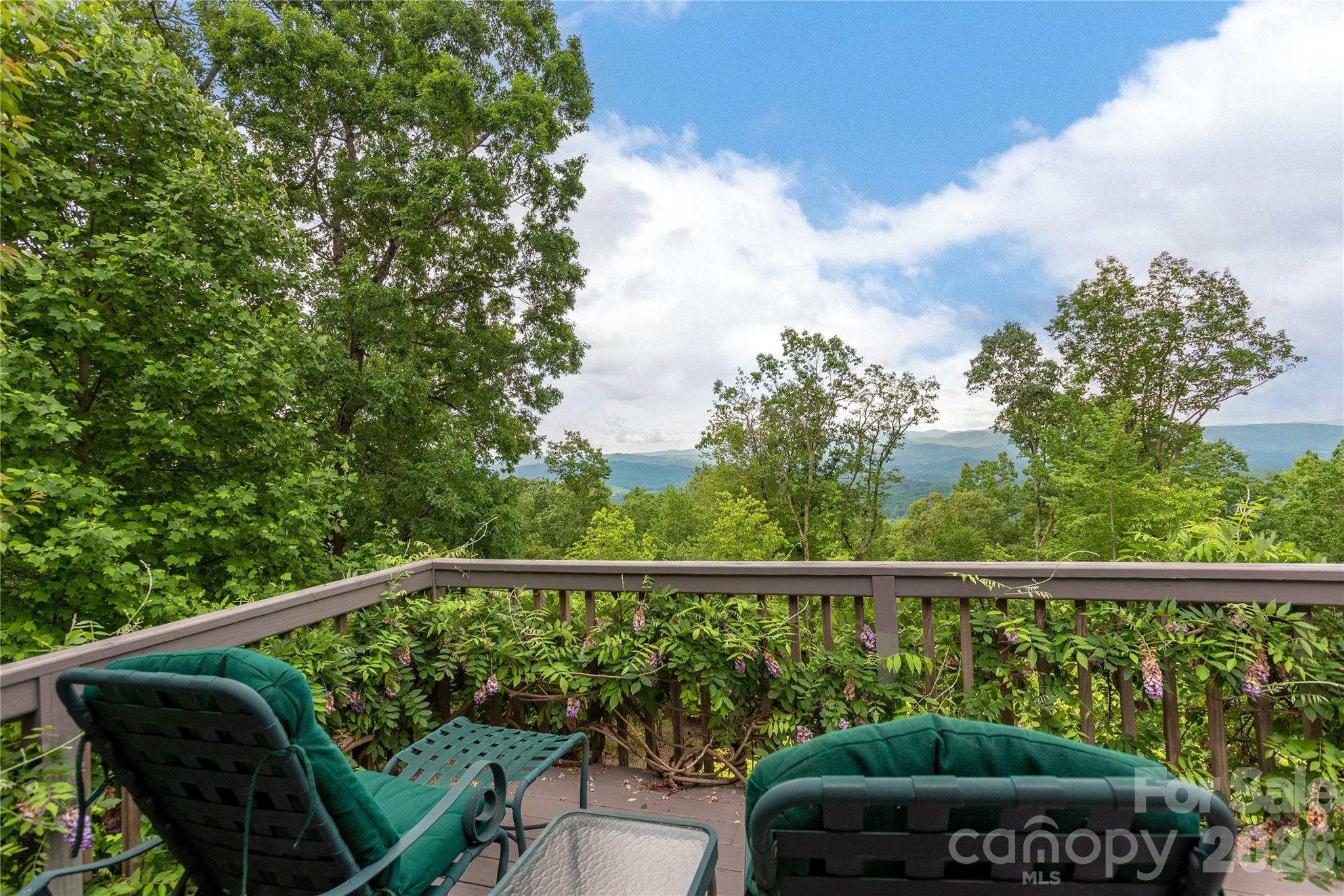 131 N Forge Crest Drive — Mills River