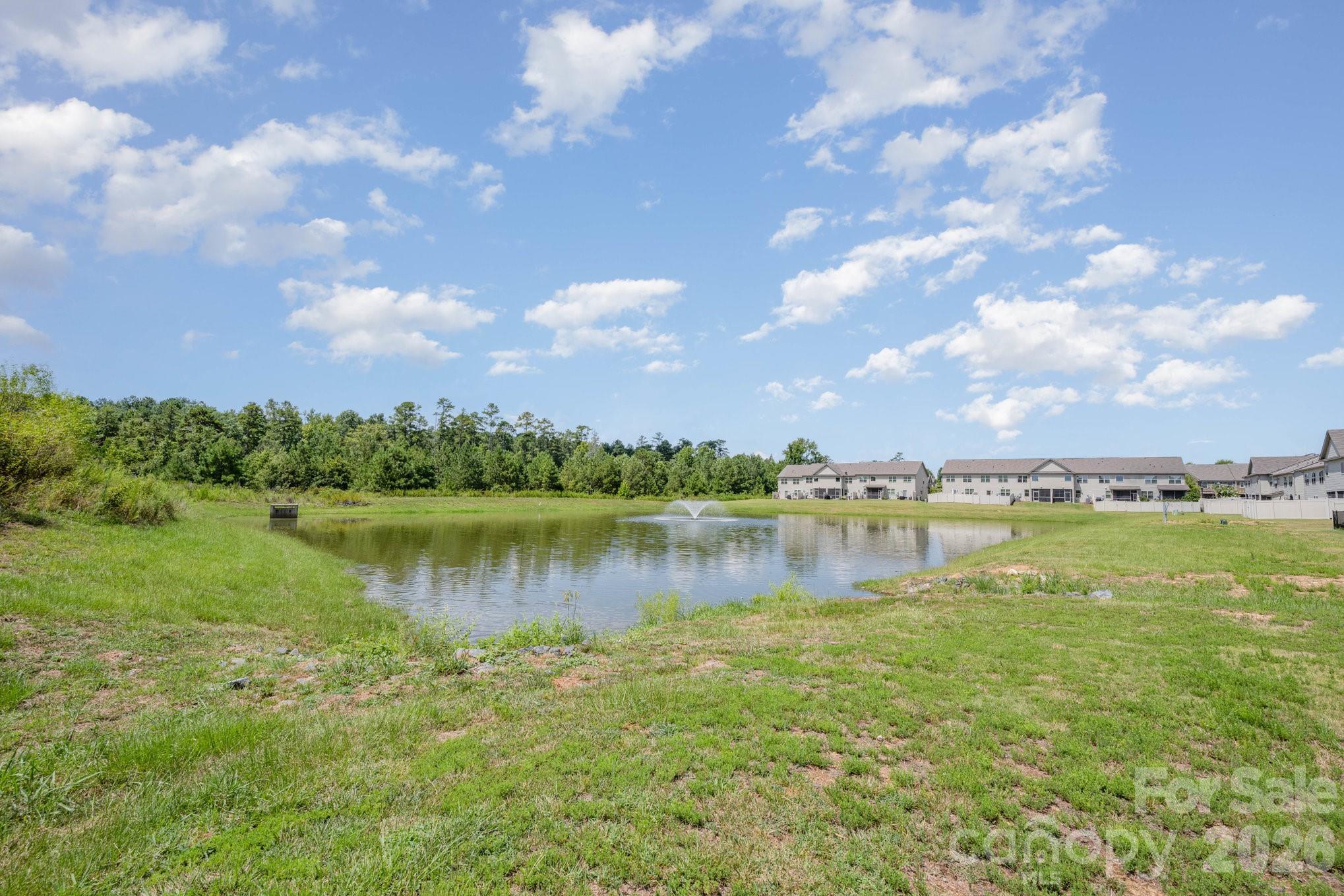 9453 Avery Lilac Lane — Indian Land