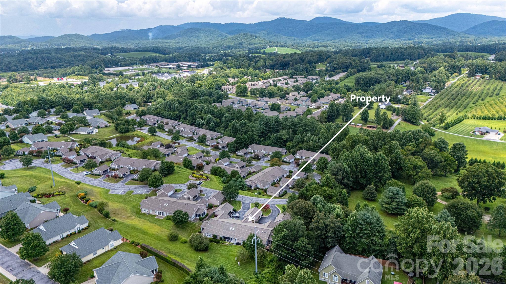 5303 Wood Duck Way — Hendersonville