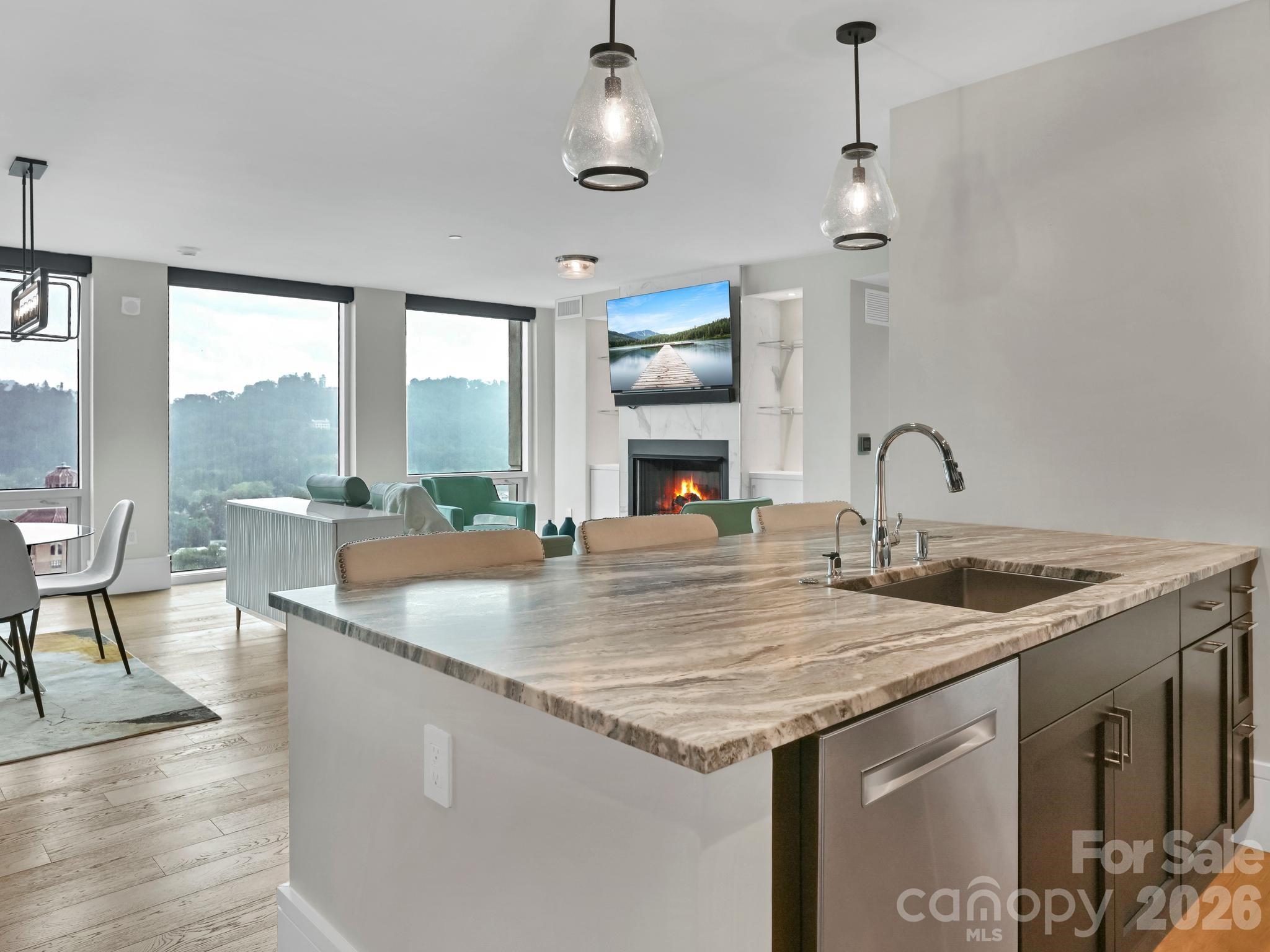 7 Patton Avenue #1805 — Asheville
