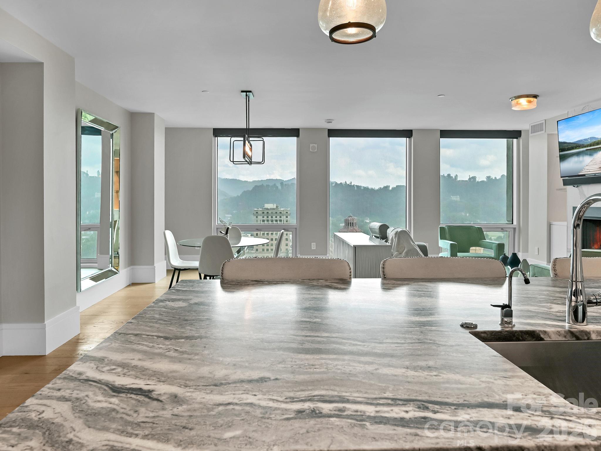 7 Patton Avenue #1805 — Asheville