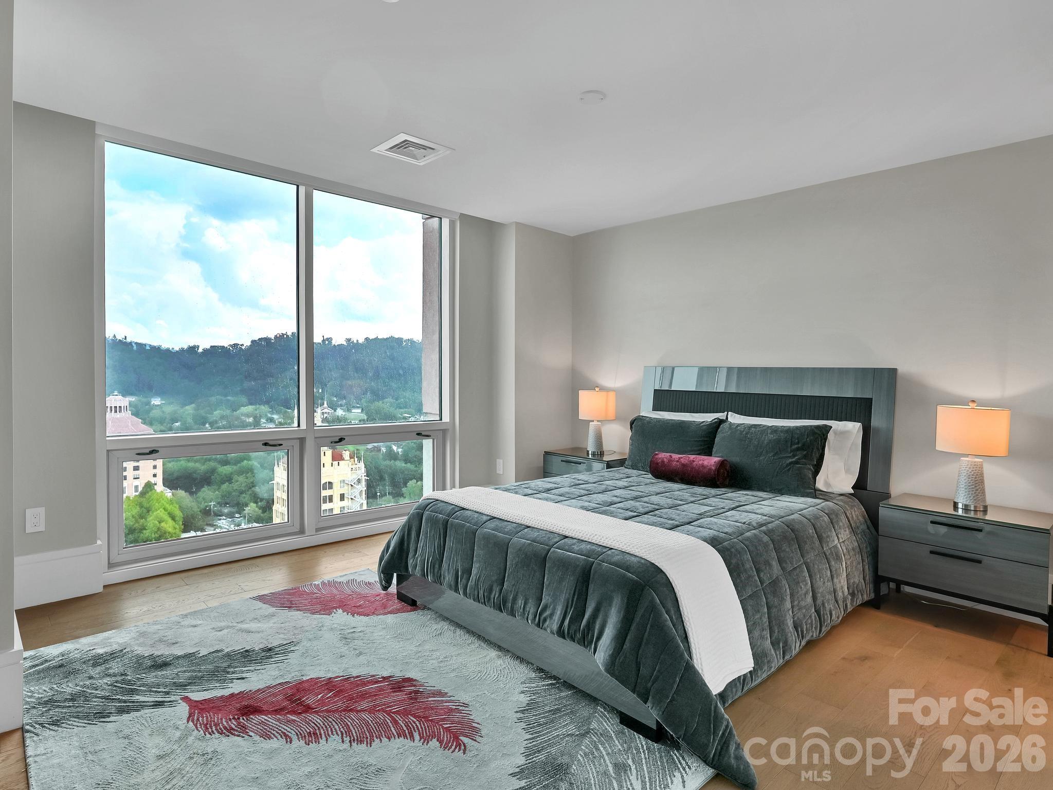 7 Patton Avenue #1805 — Asheville