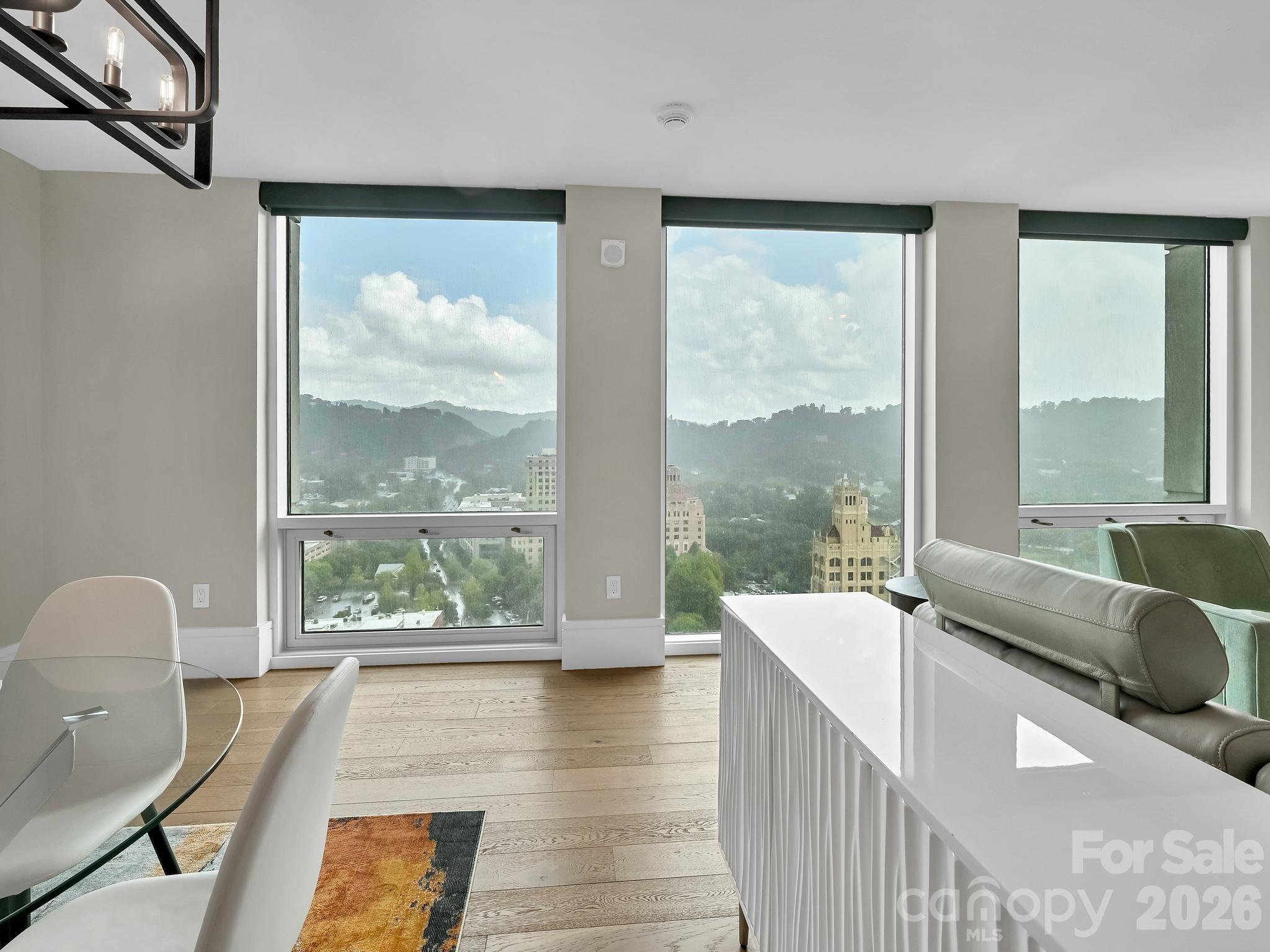 7 Patton Avenue #1805 — Asheville