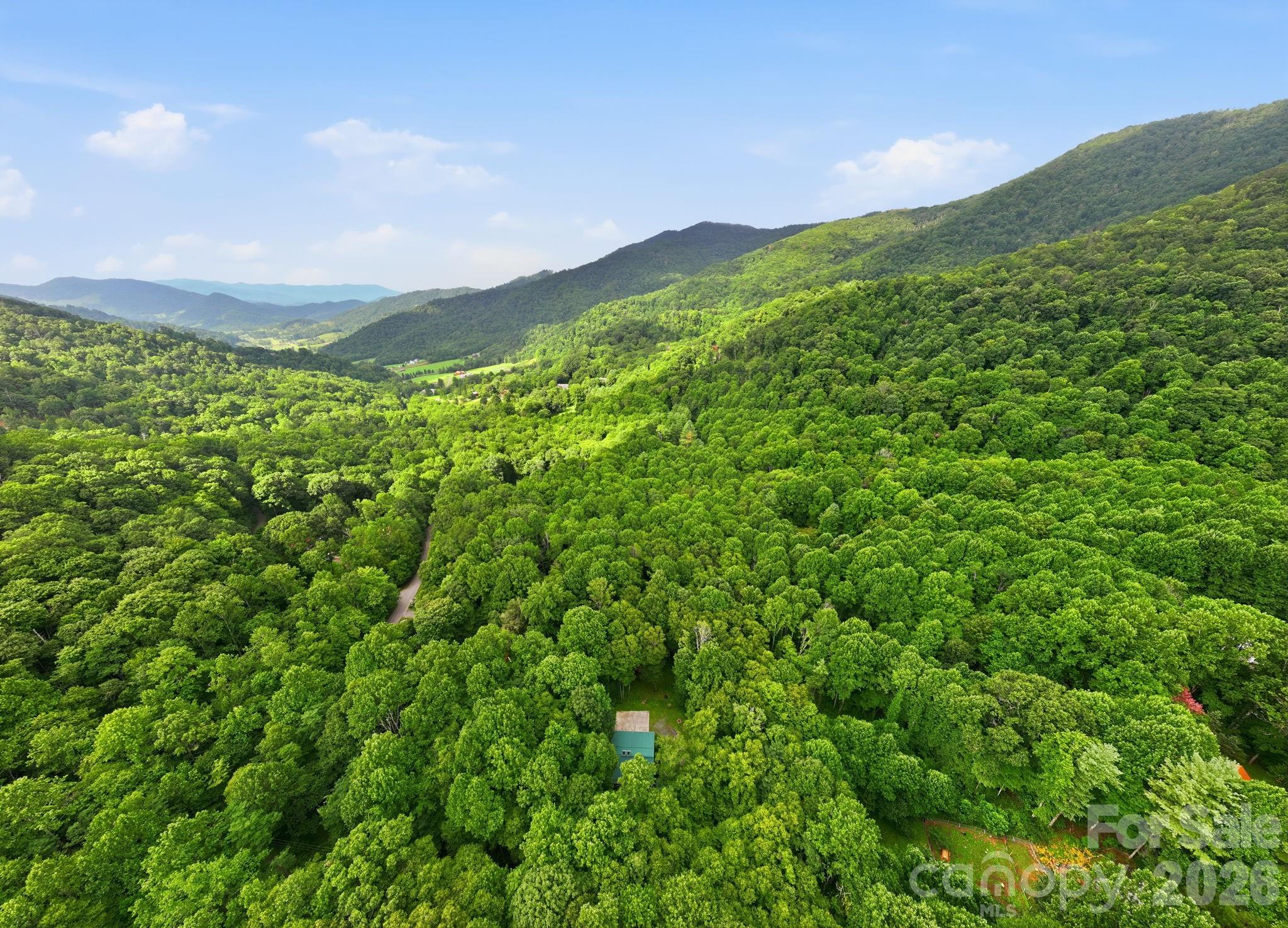 4035 Bald Creek Road — Clyde
