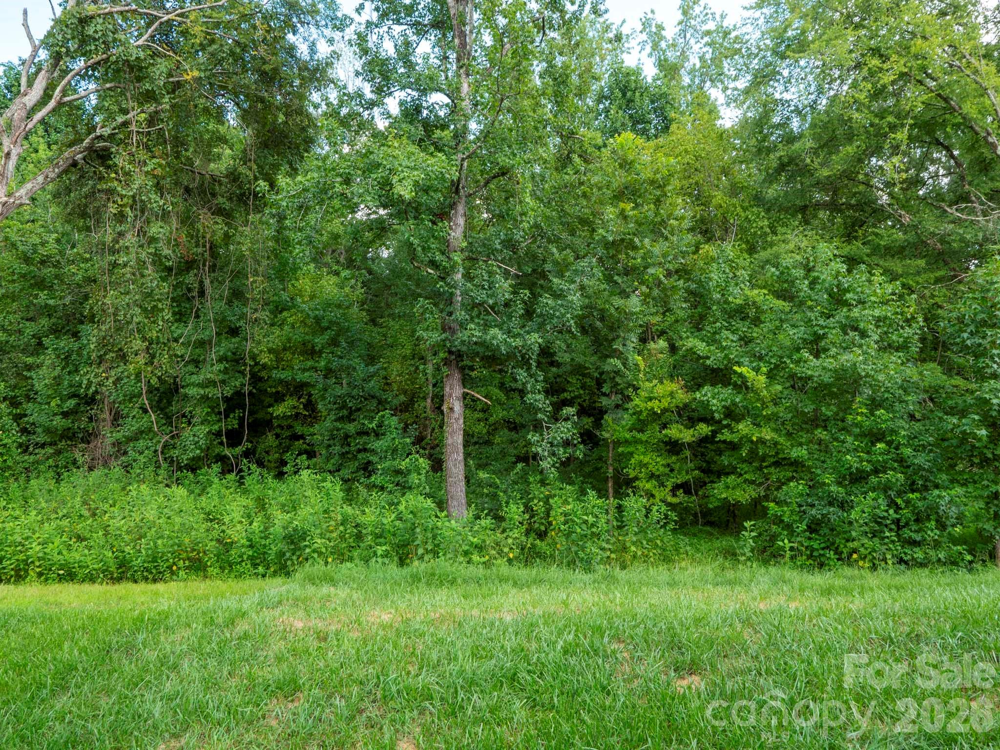 7203 Stoney Wood Lane — Charlotte