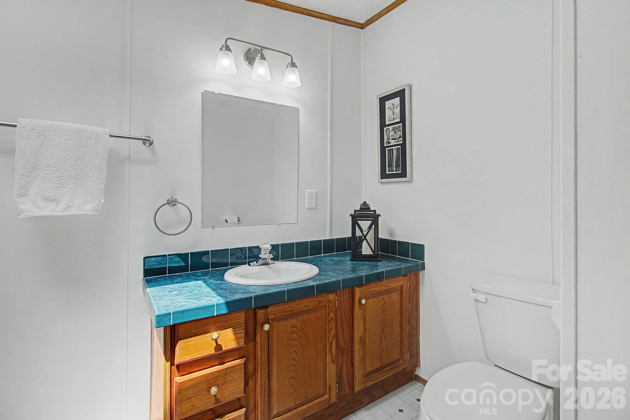 204 Red Birch Court — Hendersonville