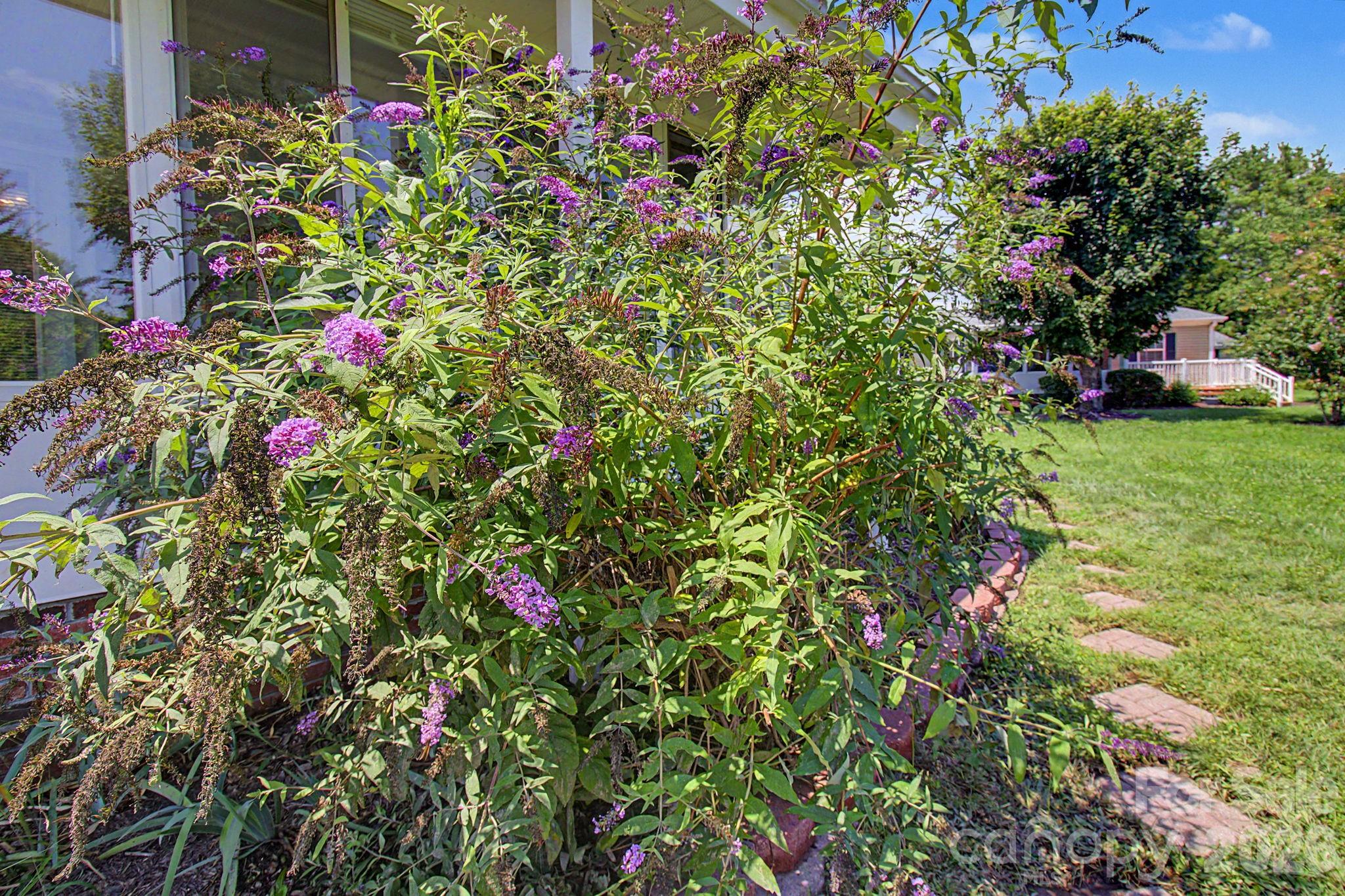 204 Red Birch Court — Hendersonville