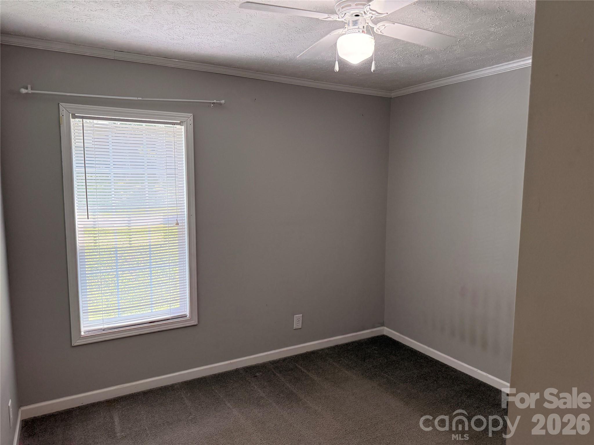 166 Albert Drive — Flat Rock