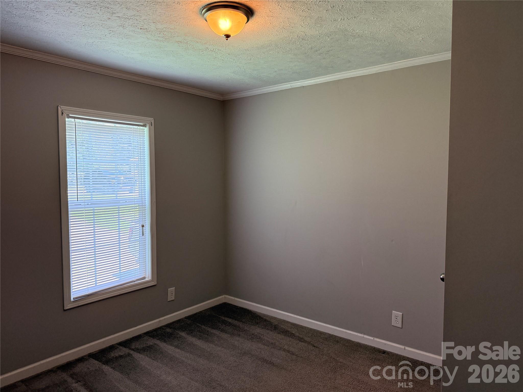166 Albert Drive — Flat Rock