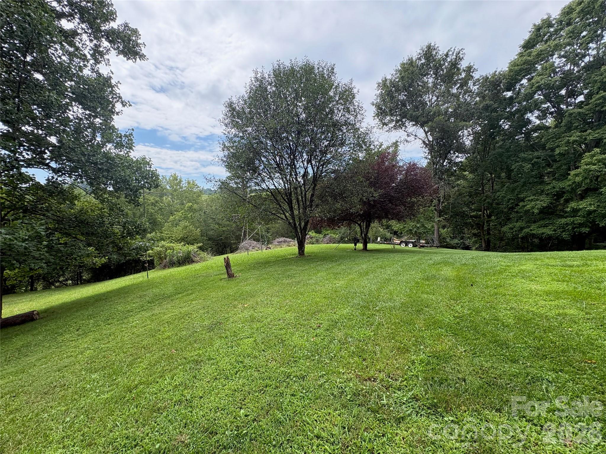 11 Thornberry Drive — Alexander