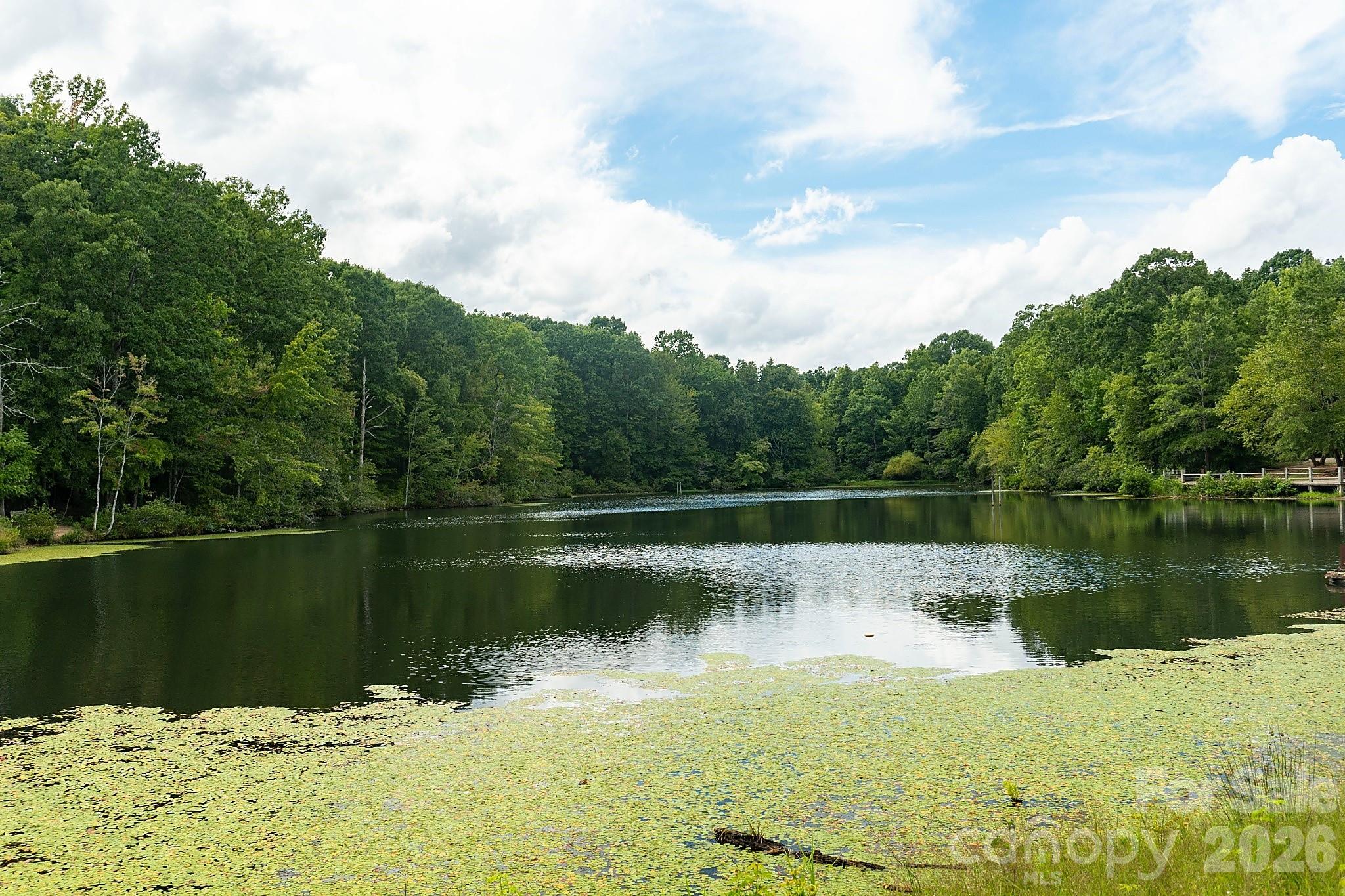 14103 Belmont Greene Drive — Charlotte
