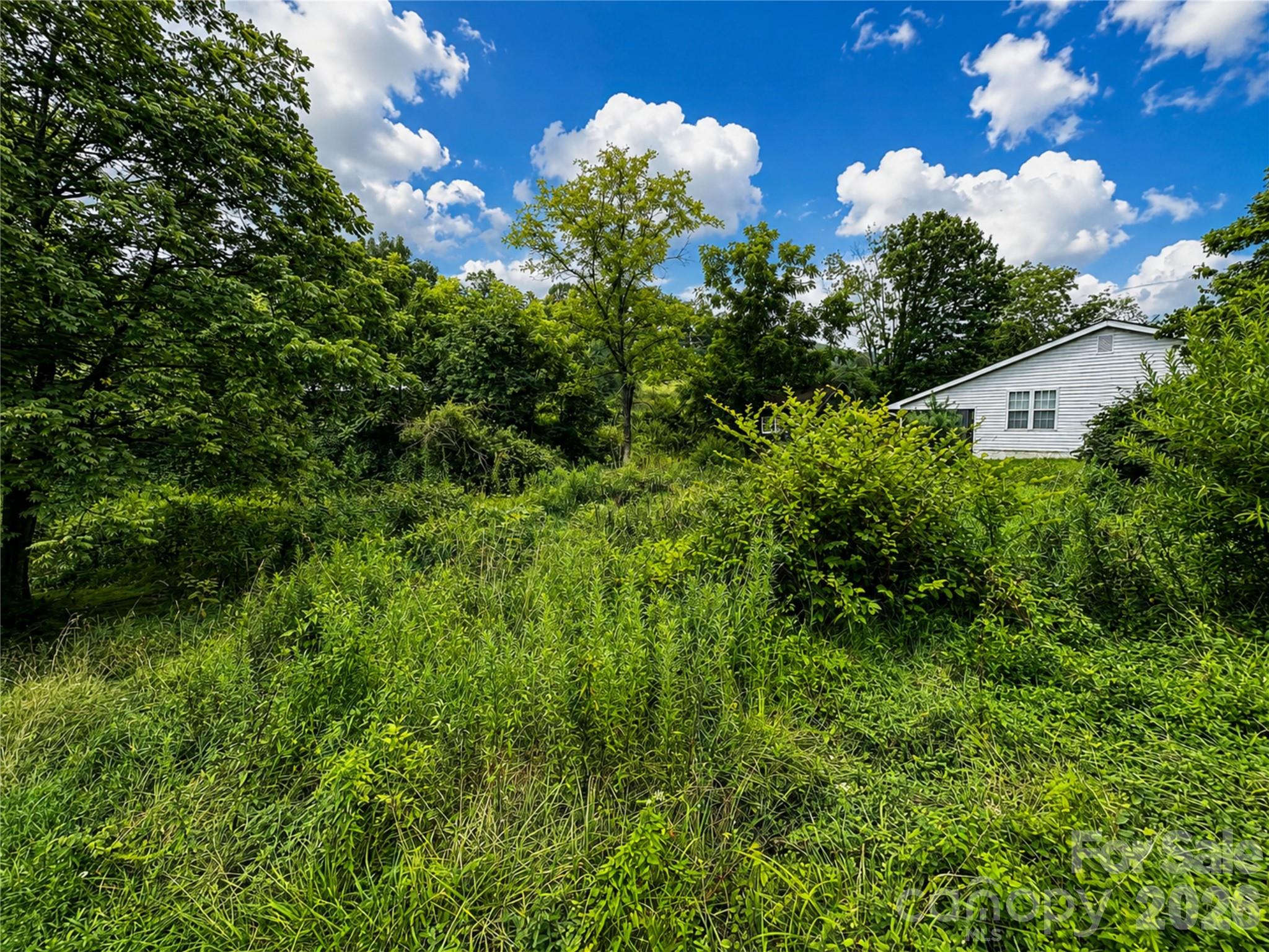 440 US 19e Highway — Spruce Pine
