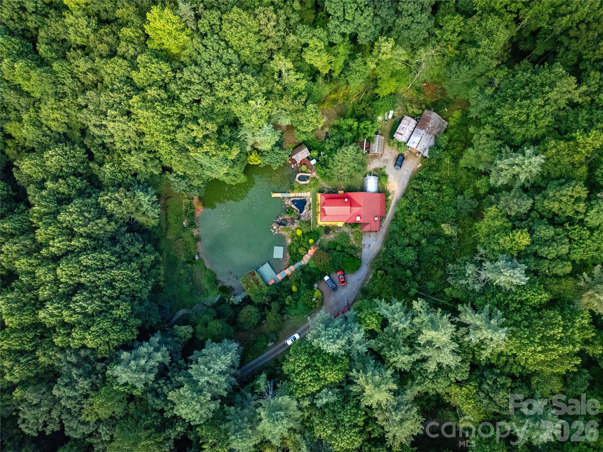 87 Old Chimney Lane — Cedar Mountain