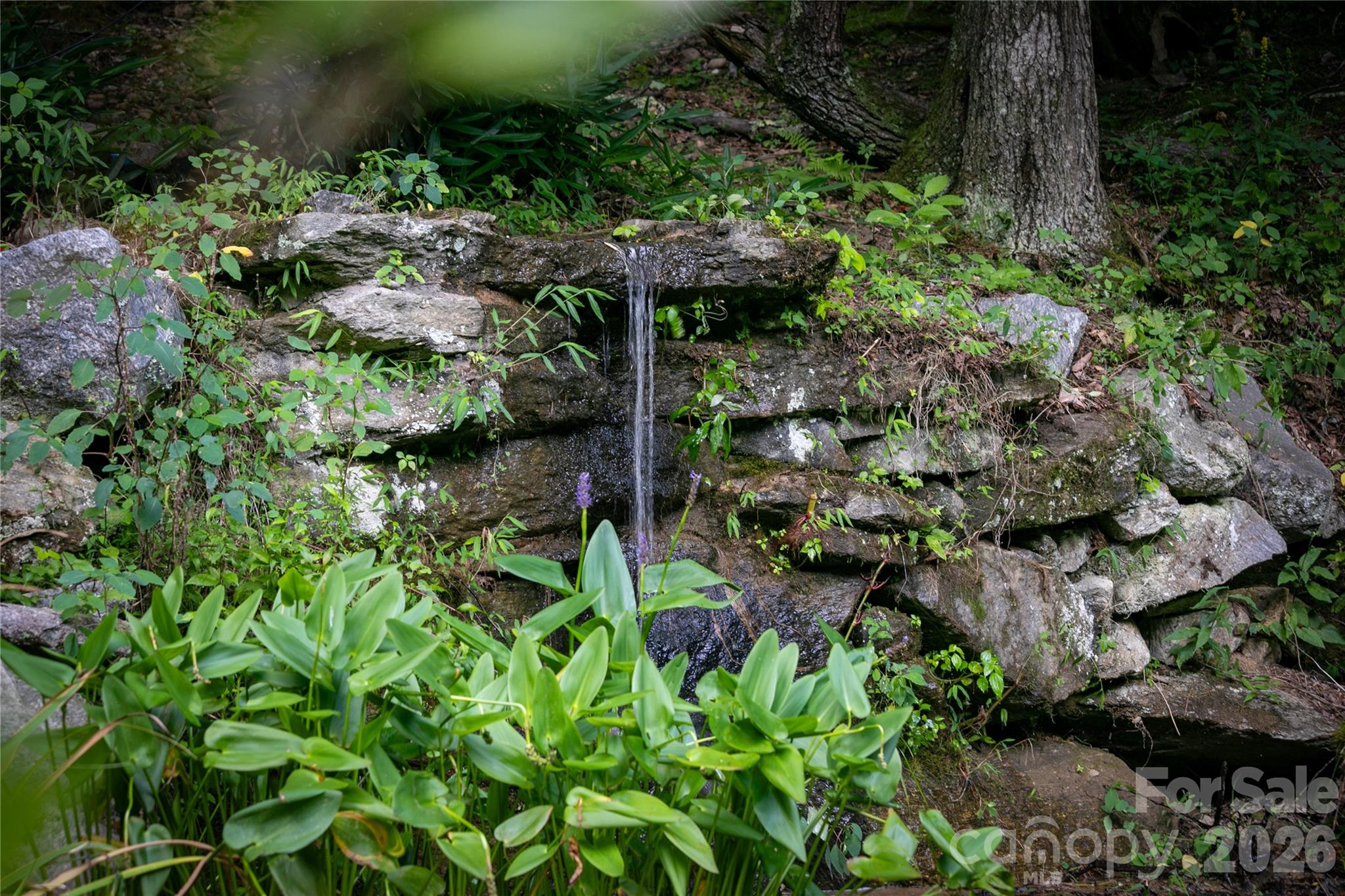87 Old Chimney Lane — Cedar Mountain