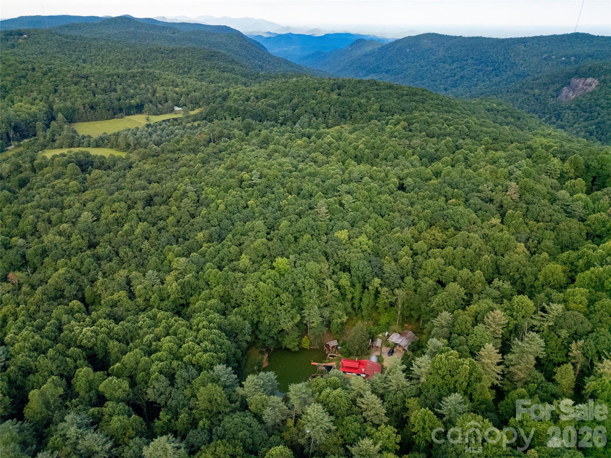 87 Old Chimney Lane — Cedar Mountain