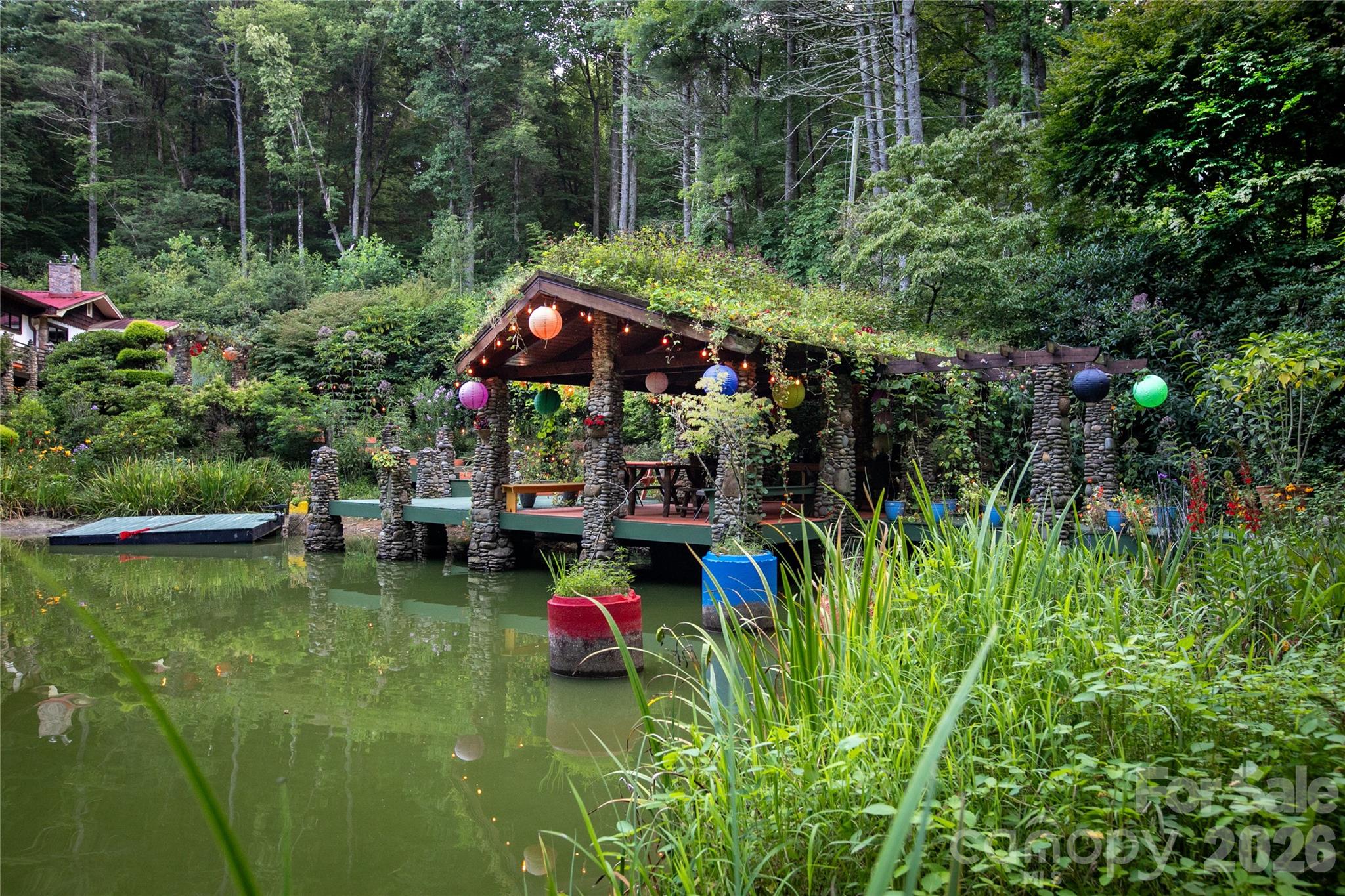 87 Old Chimney Lane — Cedar Mountain