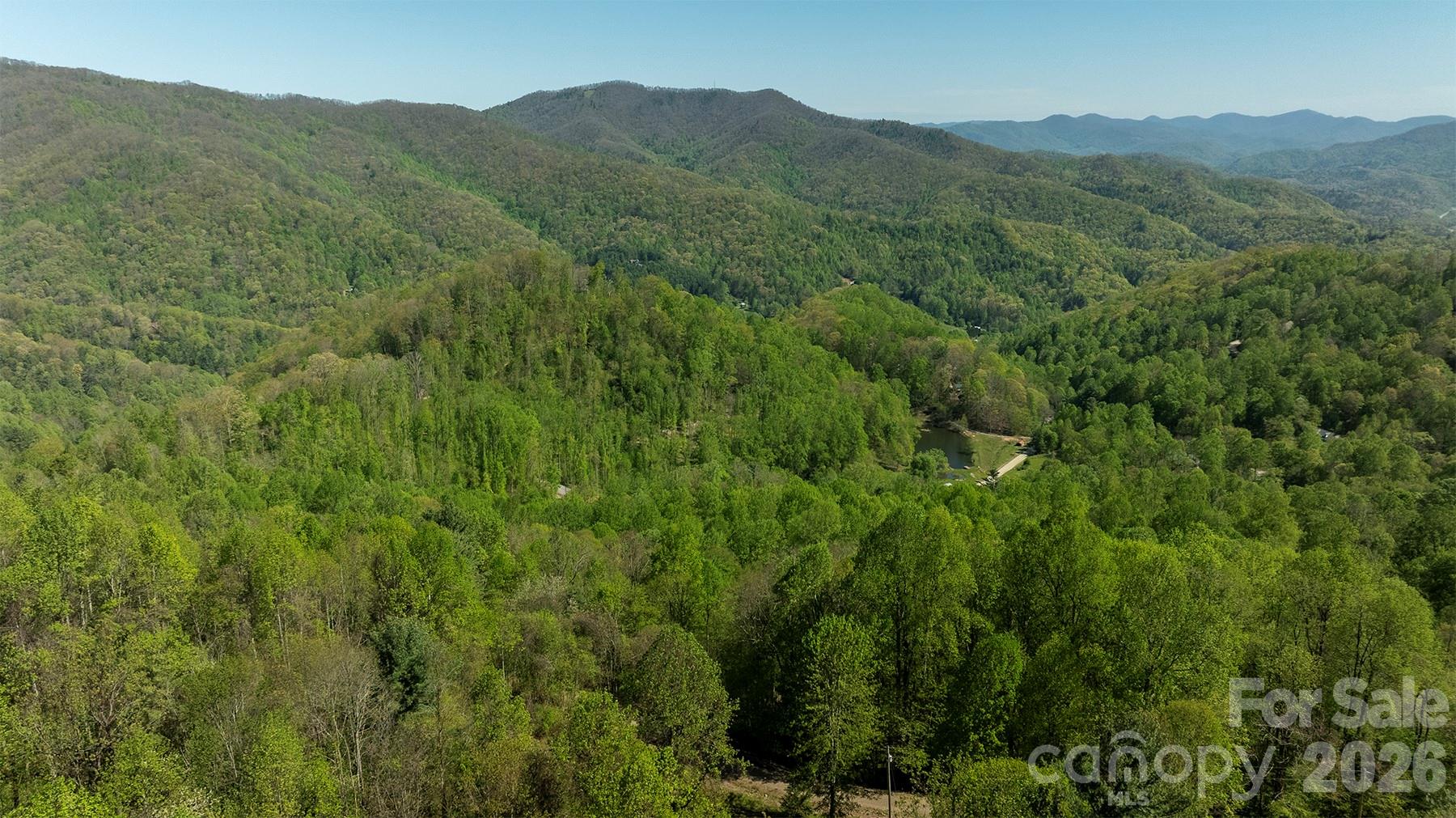 95 Lasso Lane — Waynesville