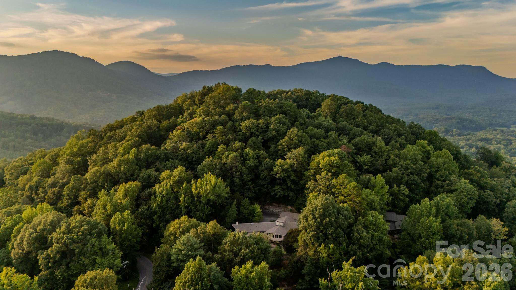 1225 Hogback Mountain Road — Tryon