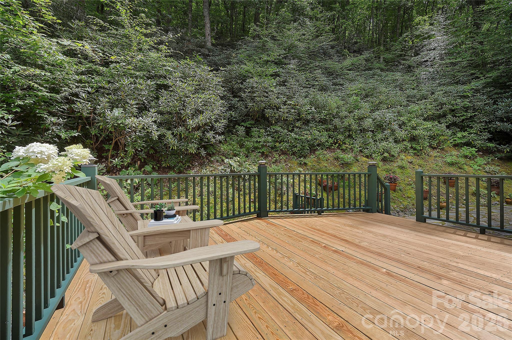 236 Holland Drive — Black Mountain