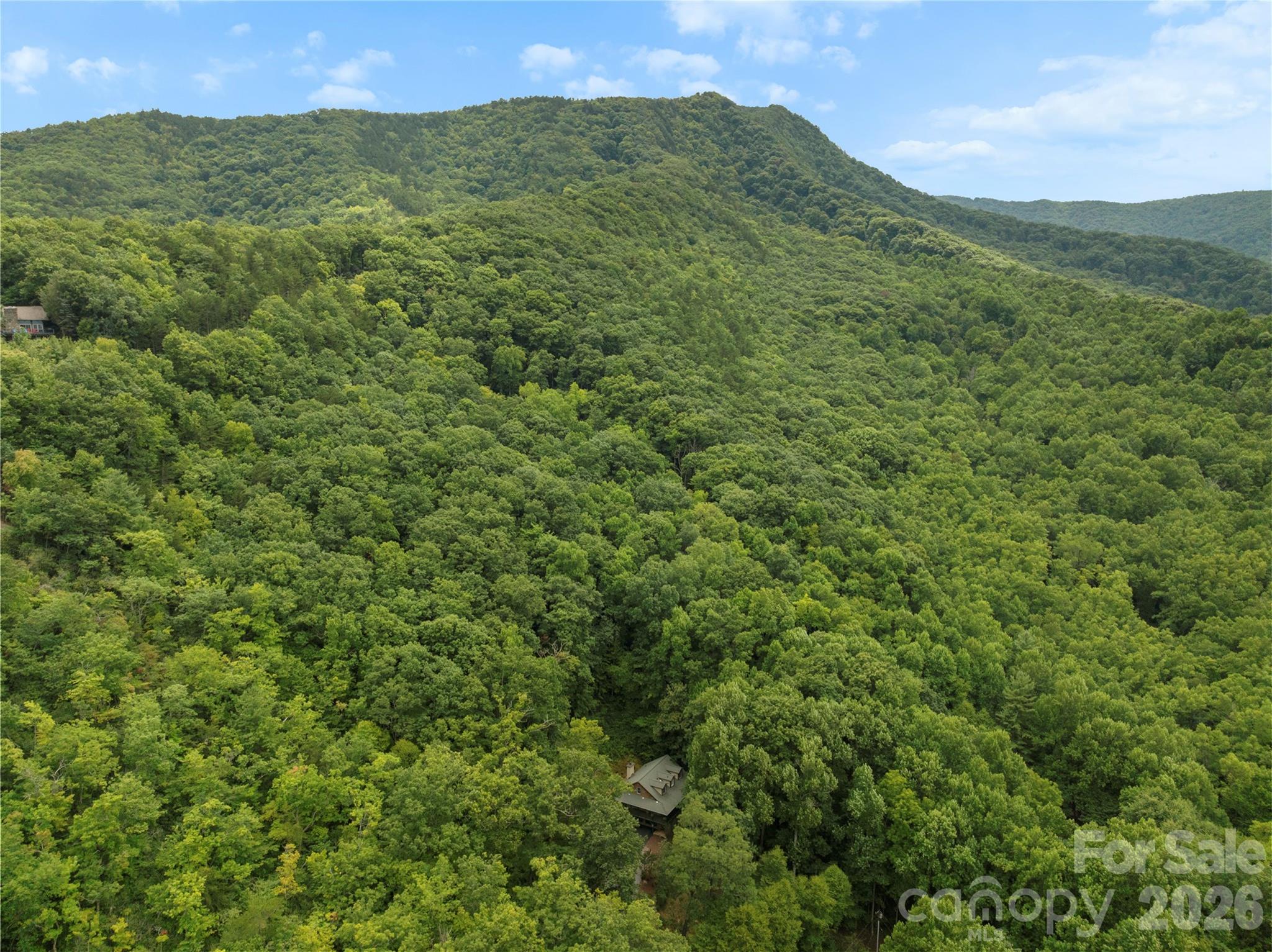 236 Holland Drive — Black Mountain