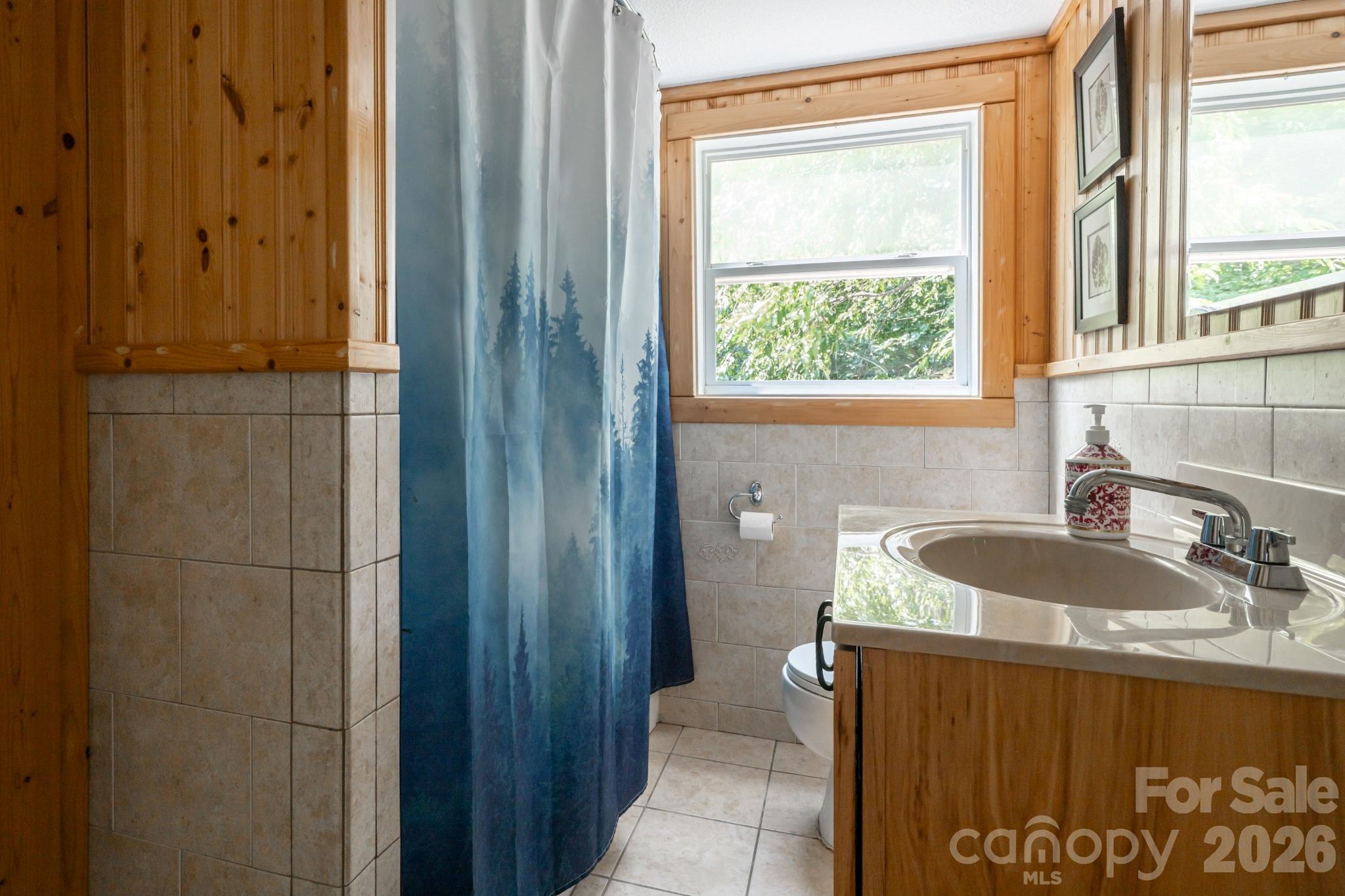 219 Echo Mountain View Road — Fairview