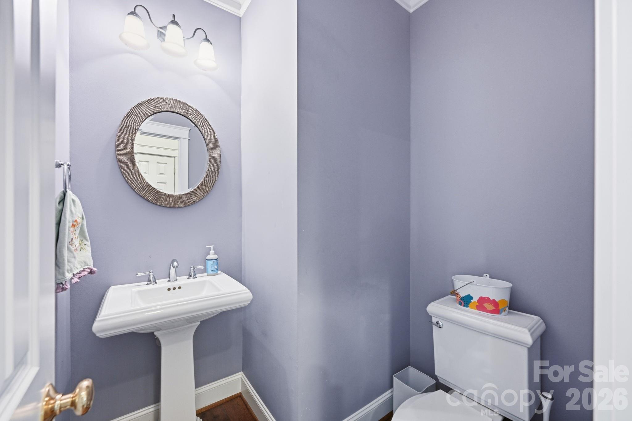 20605 Autumn Breeze Court — Cornelius