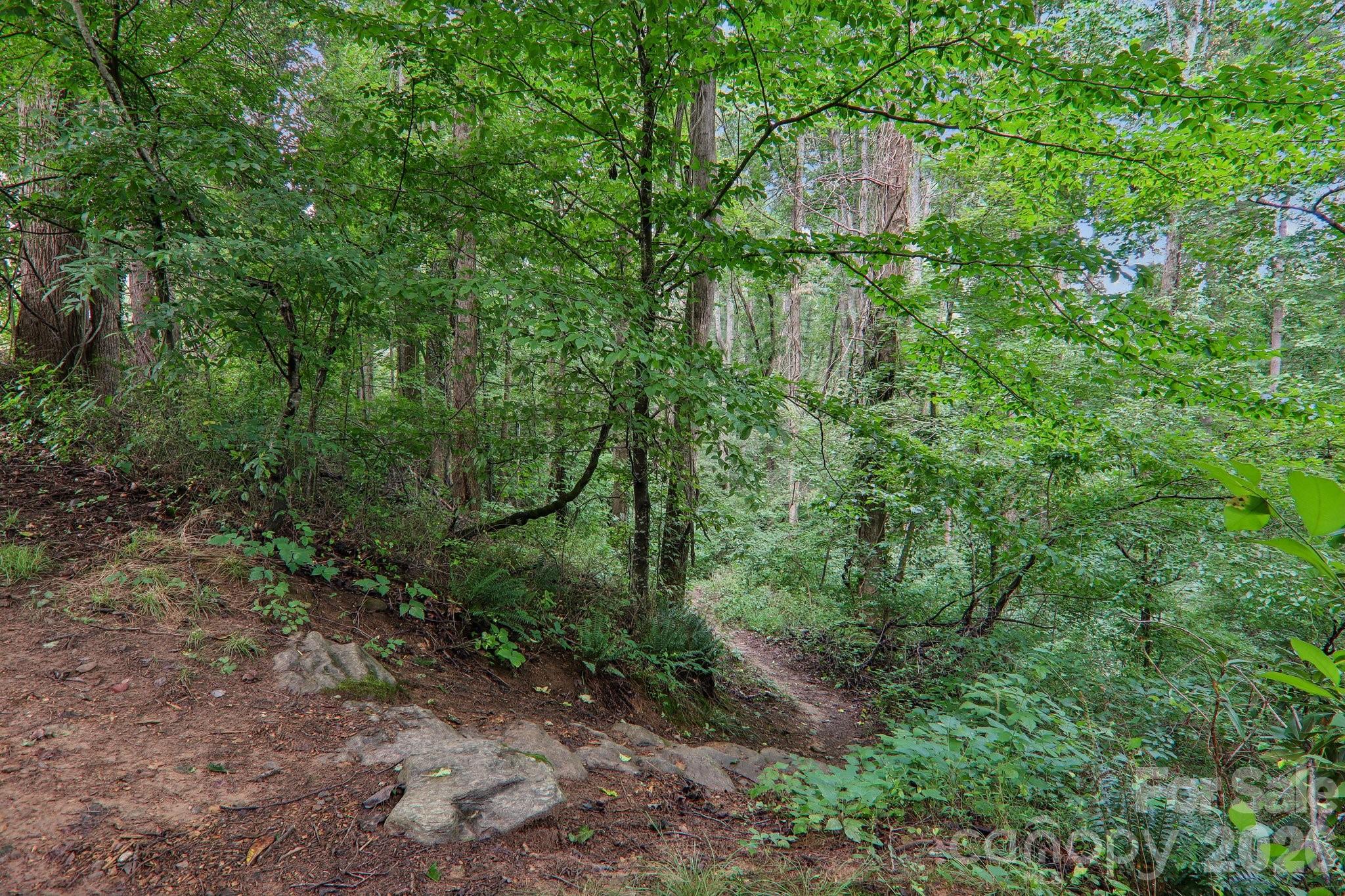 100 Vista Lake Drive #2 — Candler