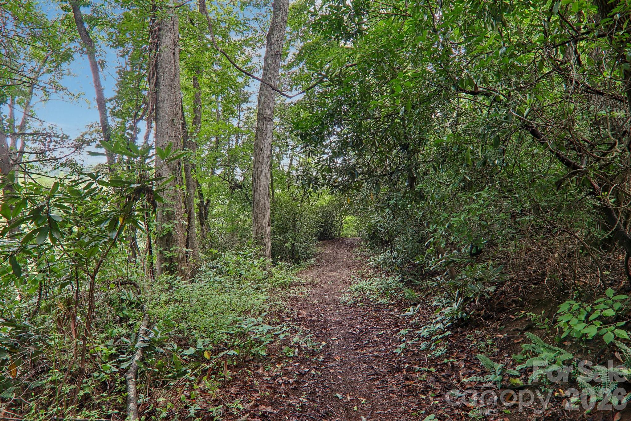 100 Vista Lake Drive #2 — Candler