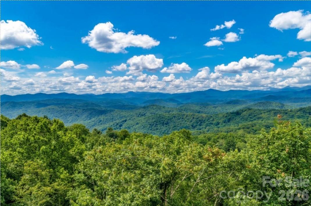 199 Bear Drive — Blowing Rock