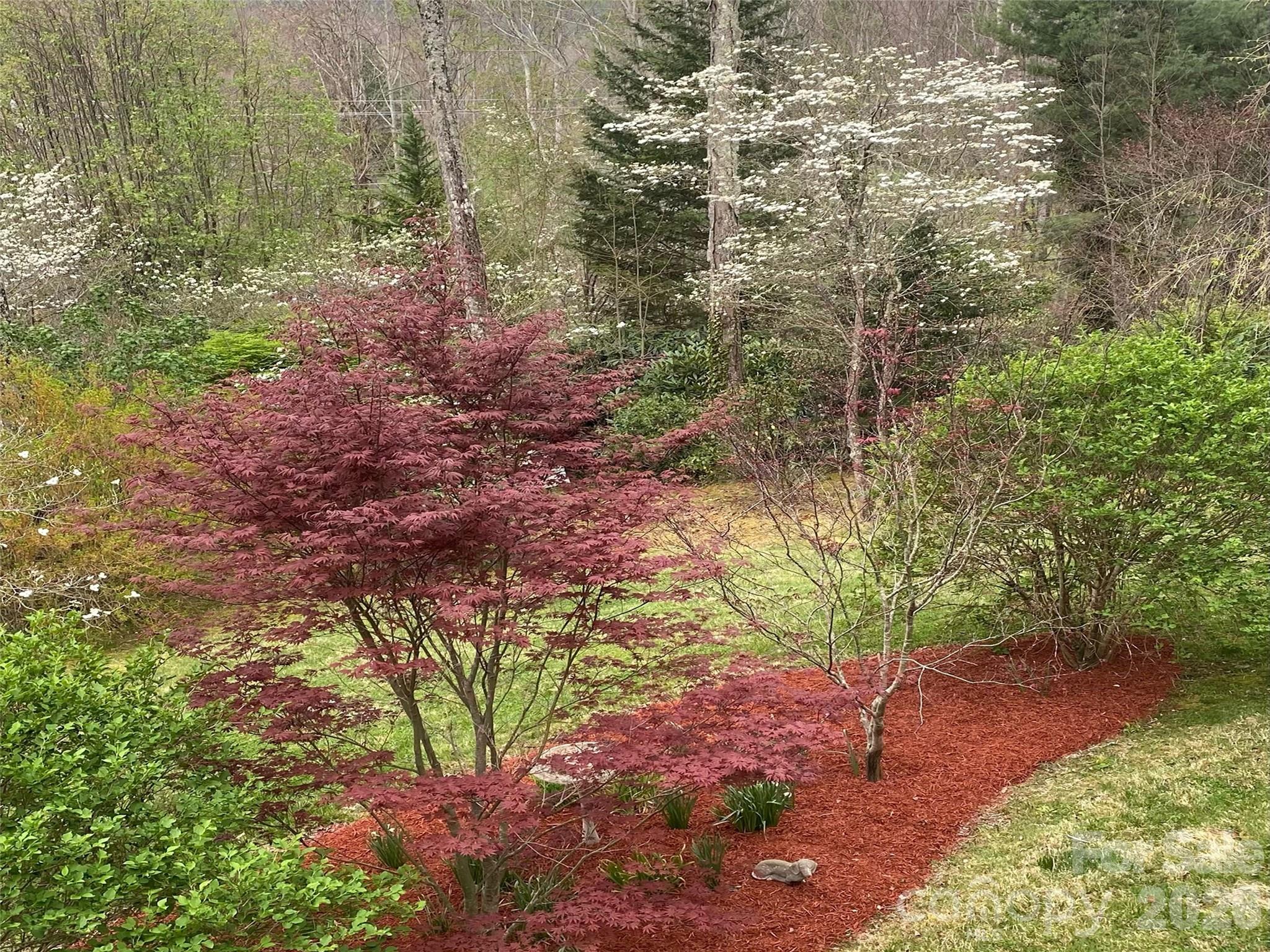 43 Red Oak Drive — Maggie Valley