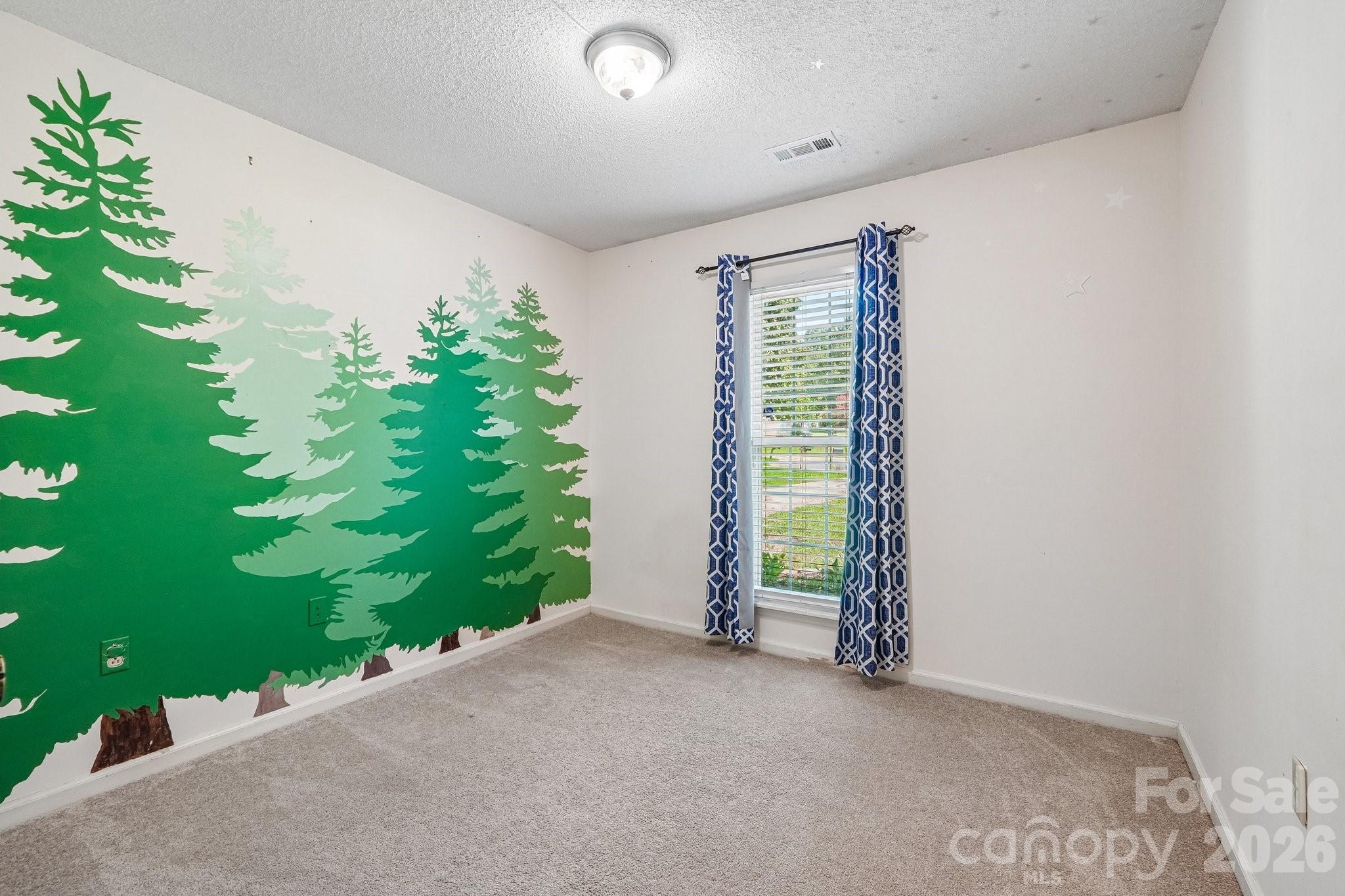 13942 Dannemara Drive — Pineville