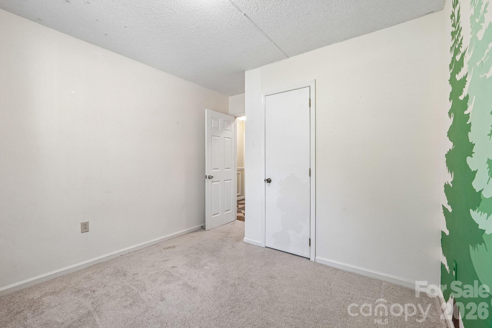 13942 Dannemara Drive — Pineville