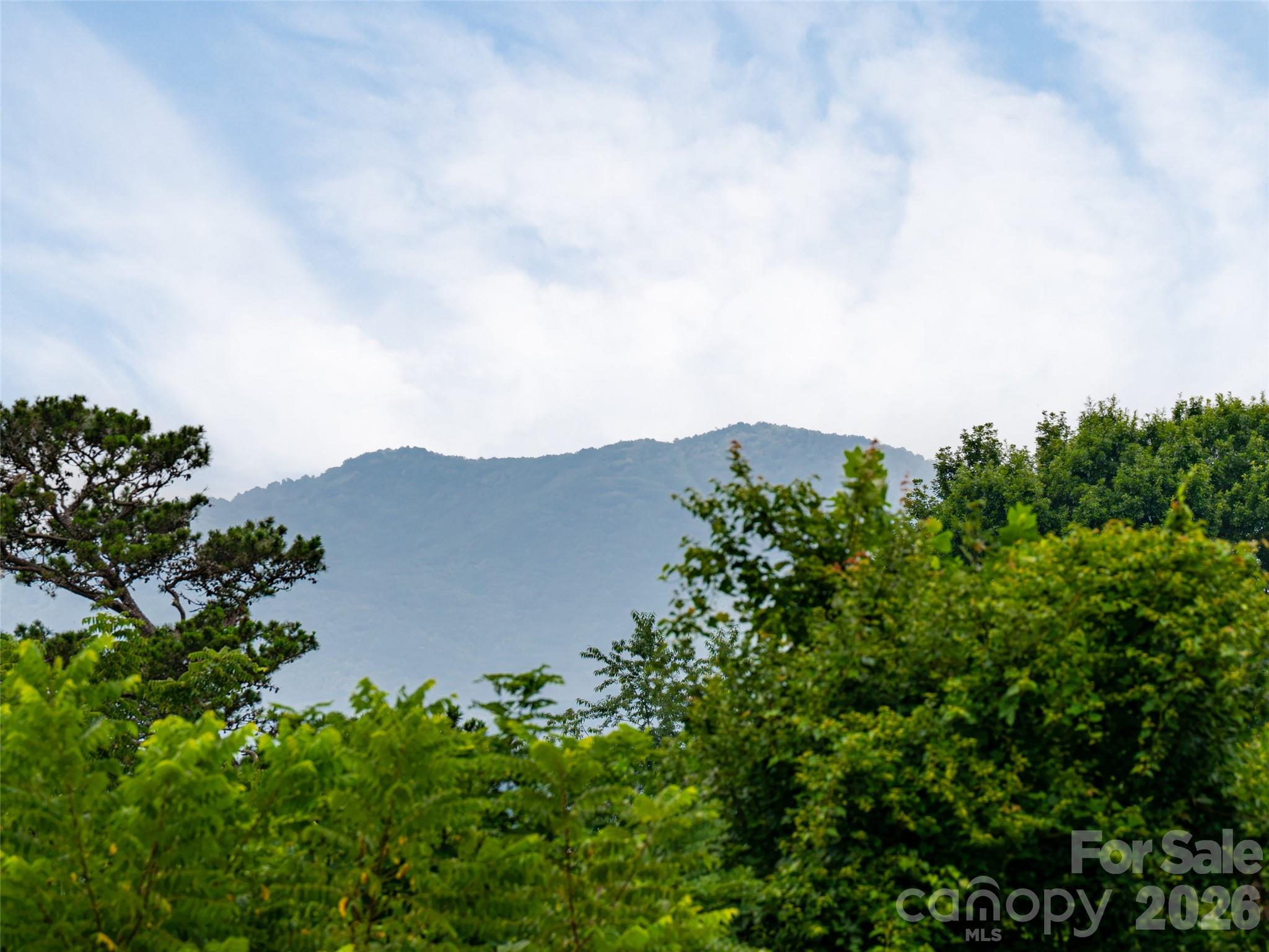 3804 Florham Place — Asheville
